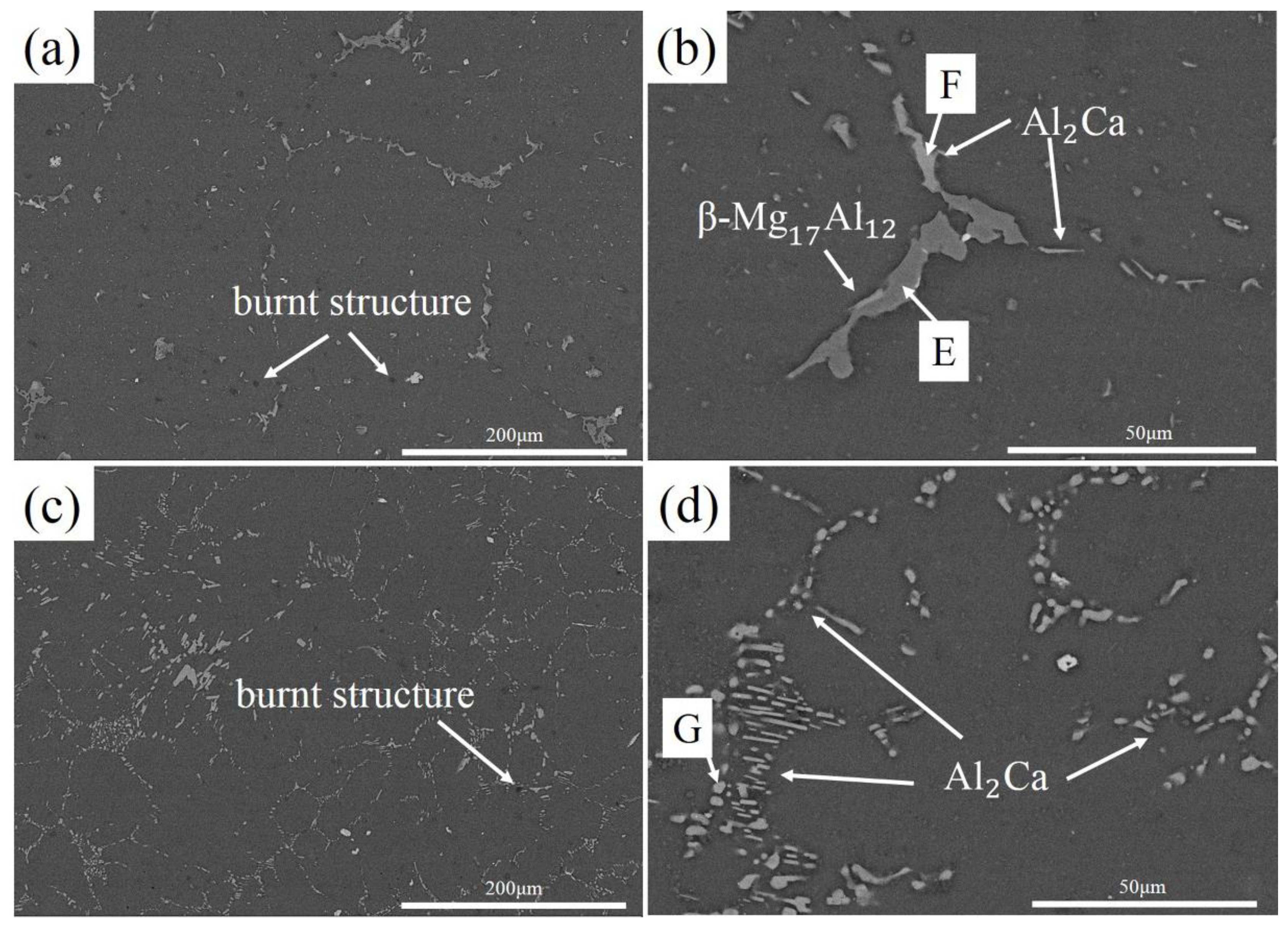 Metals 08 00766 g005 550