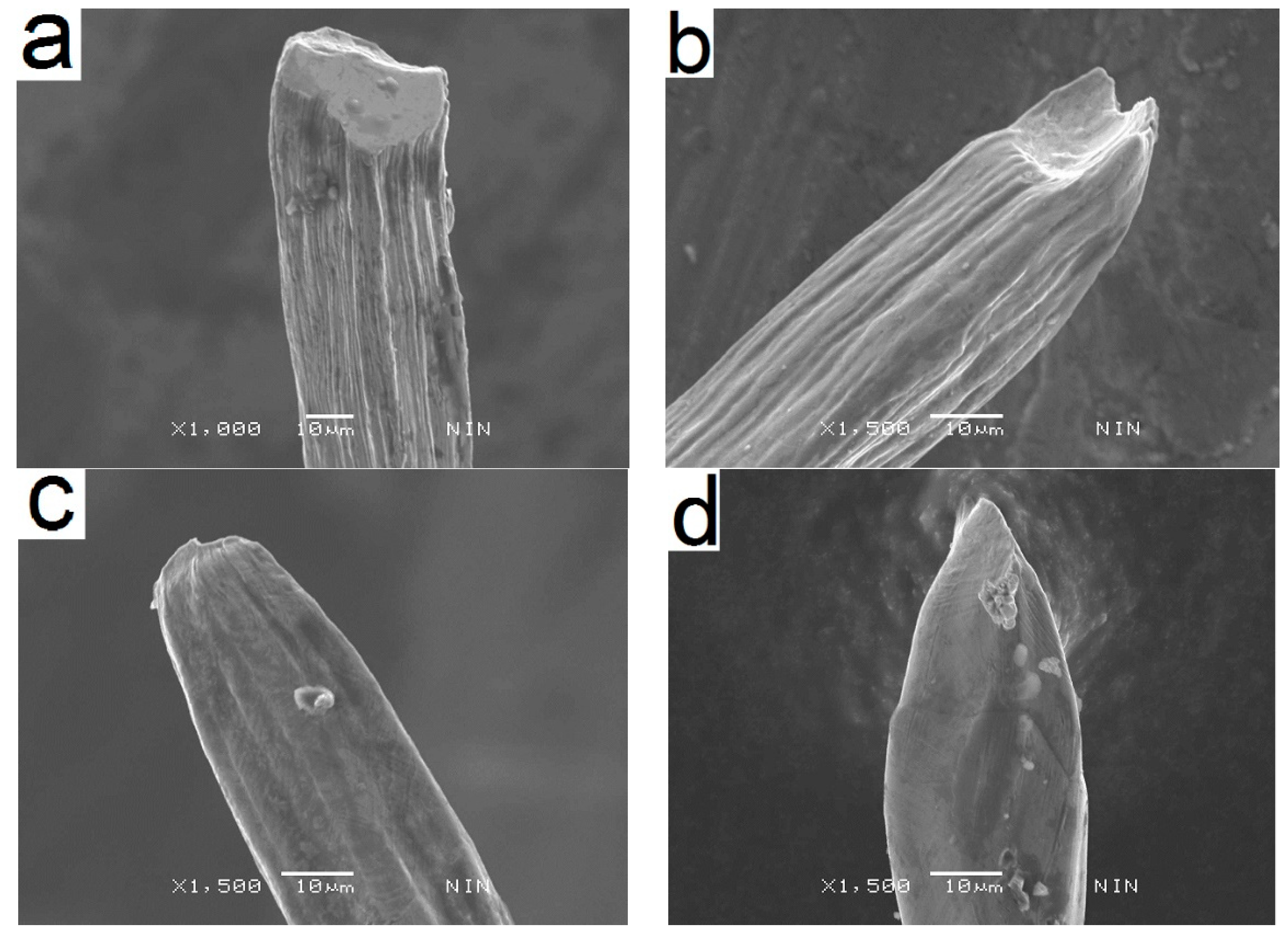 Metals 08 00768 g006