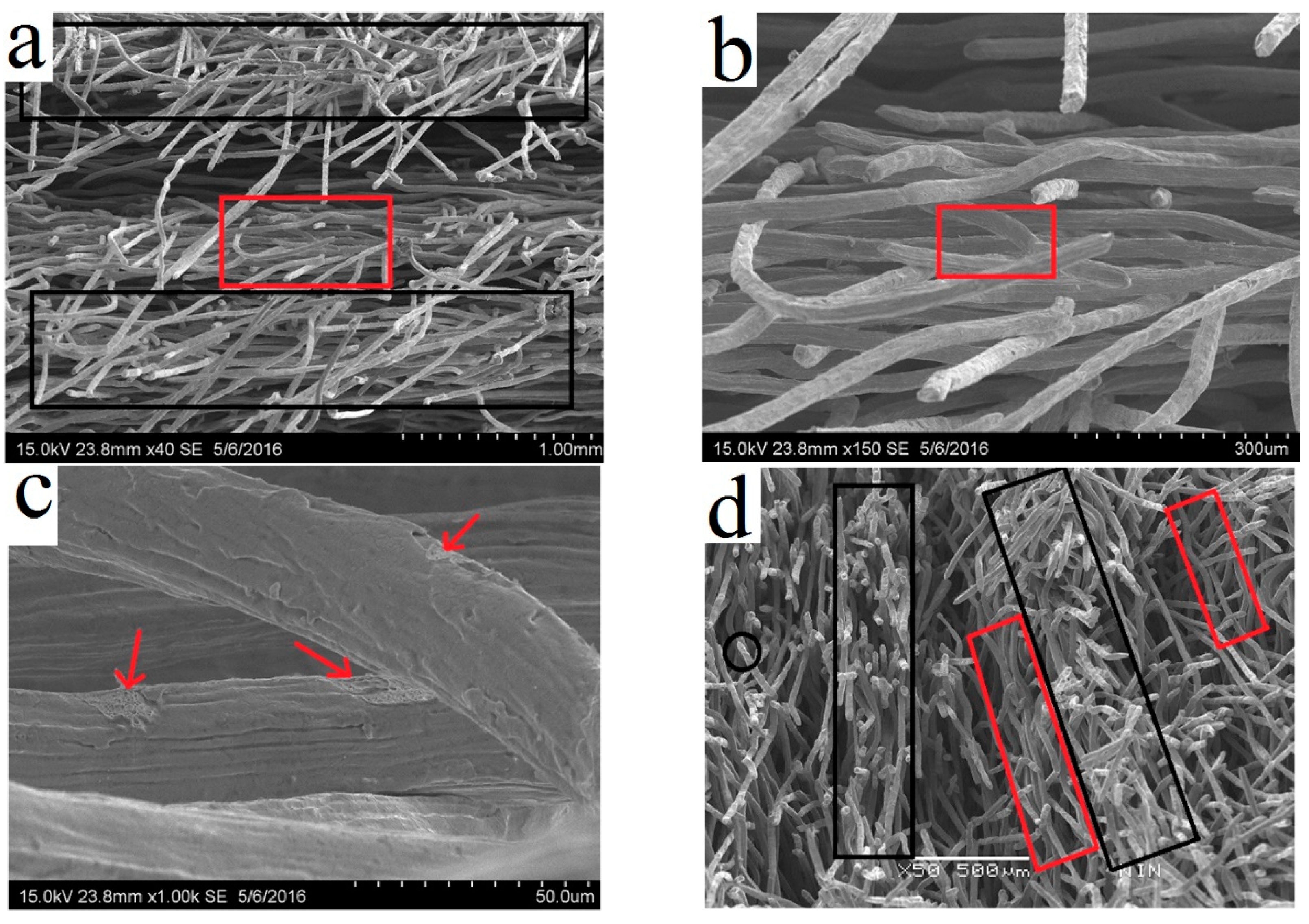 Metals 08 00768 g010a