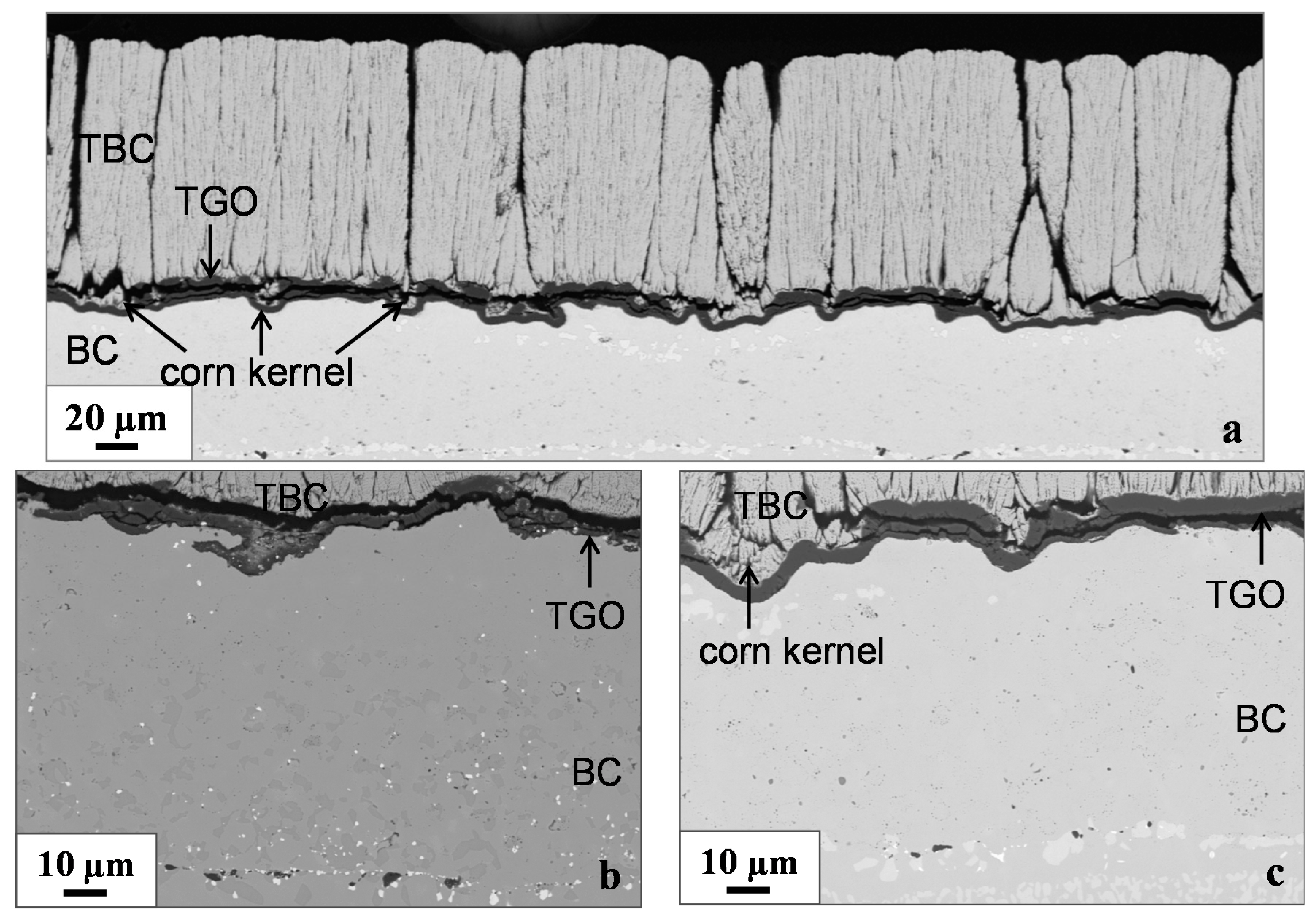 Metals 08 00771 g003a