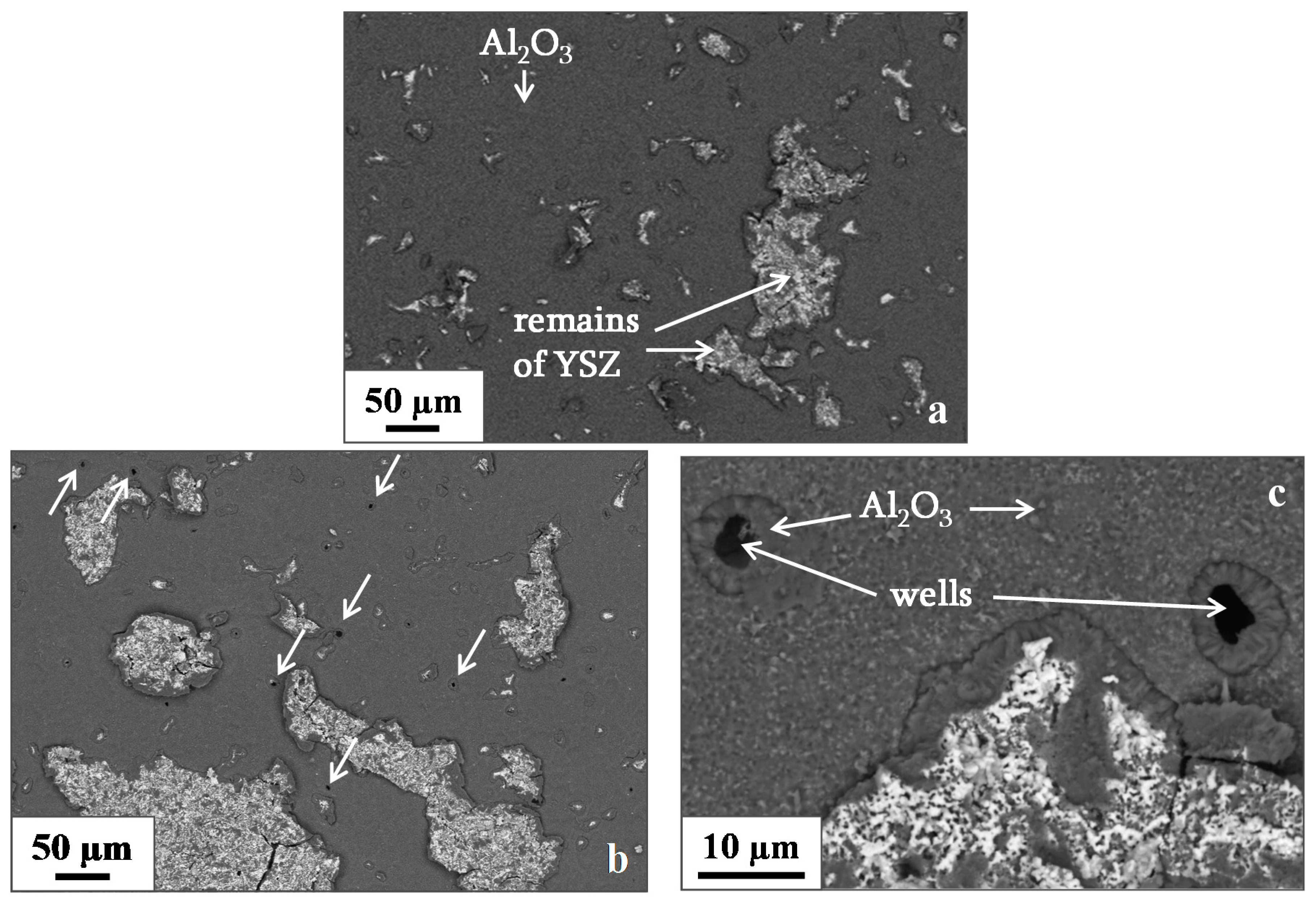 Metals 08 00771 g004