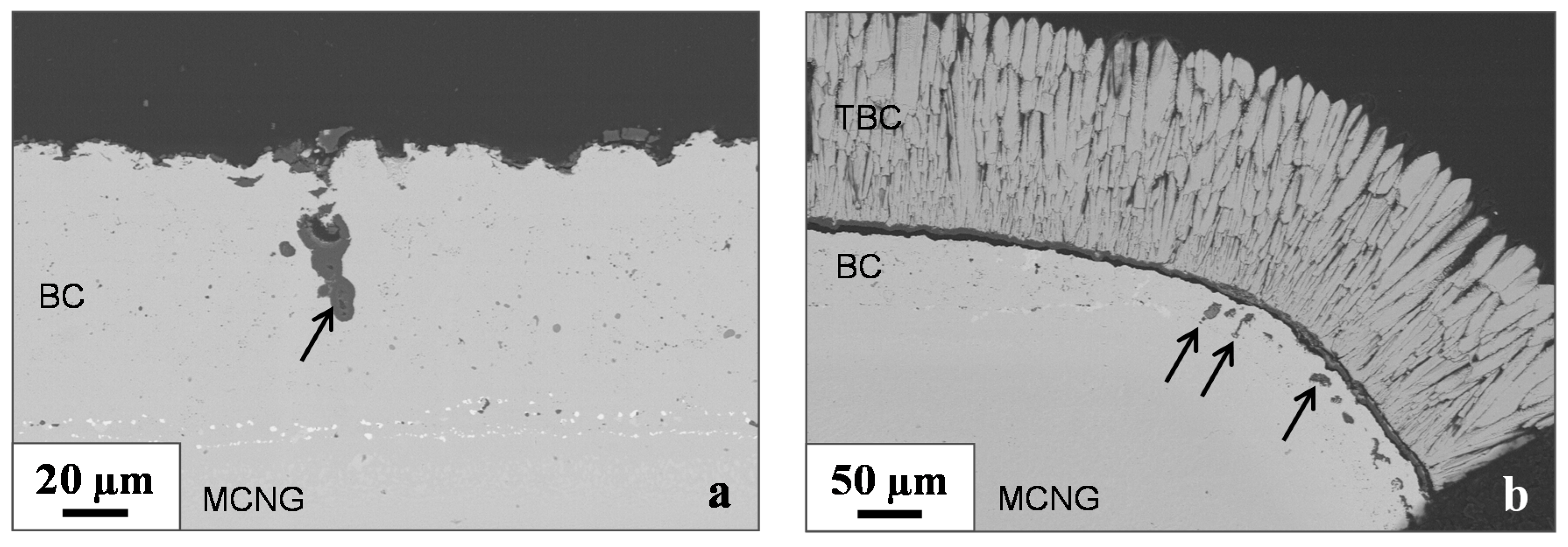 Metals 08 00771 g008