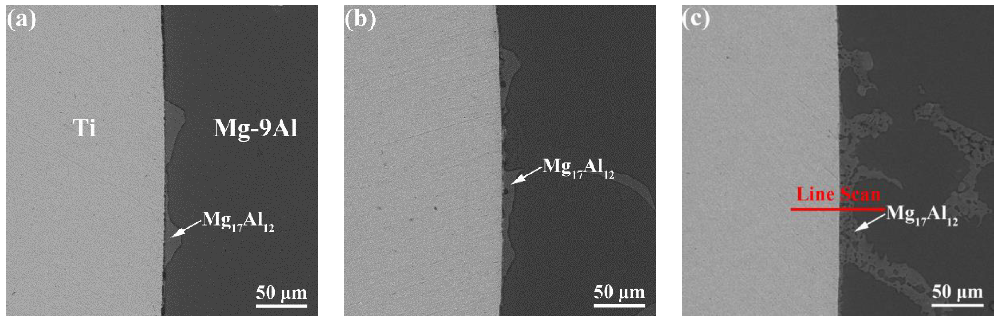 Metals 08 00778 g003