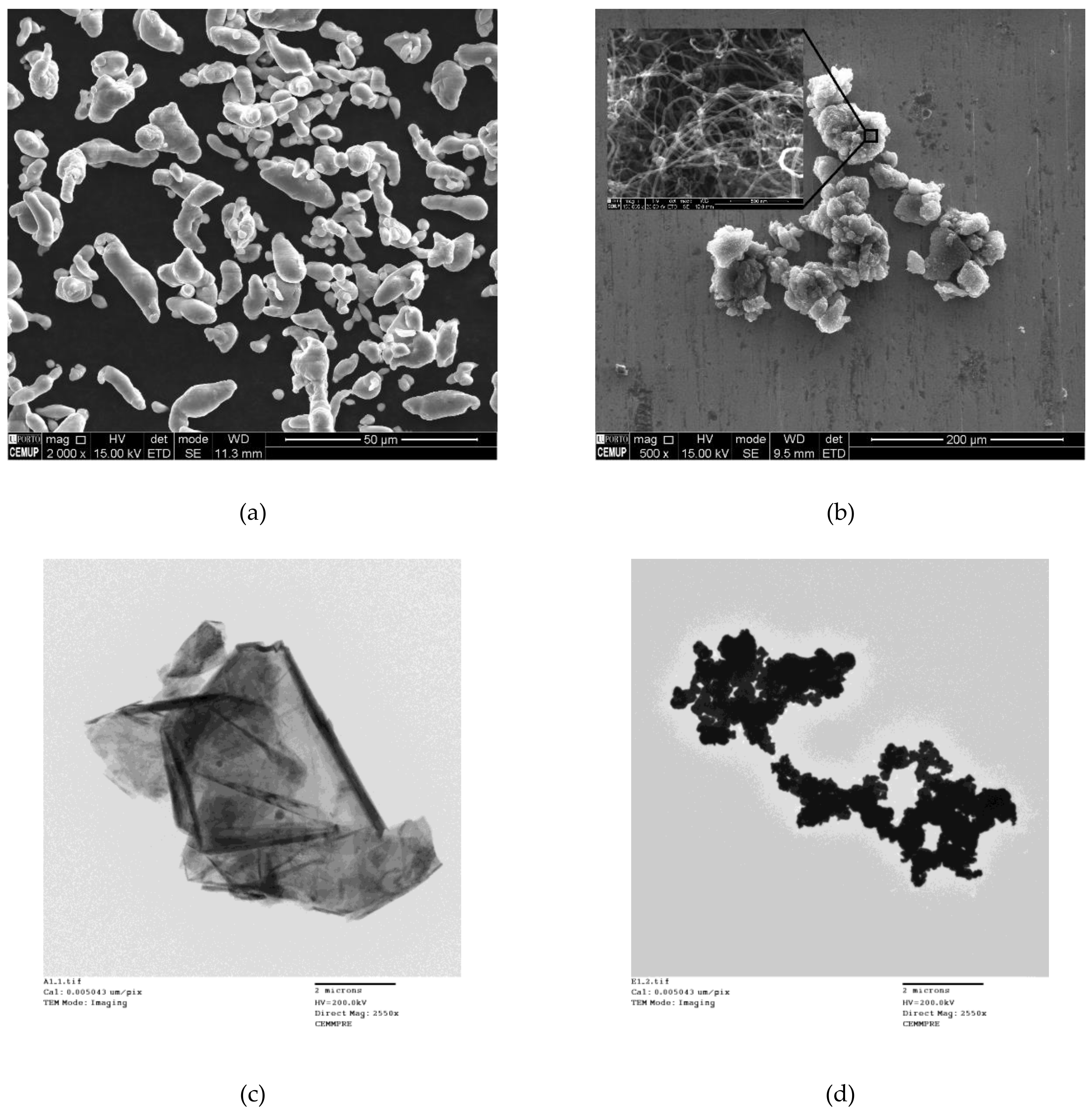 Metals 08 00786 g001 Metals 08 00786 g001