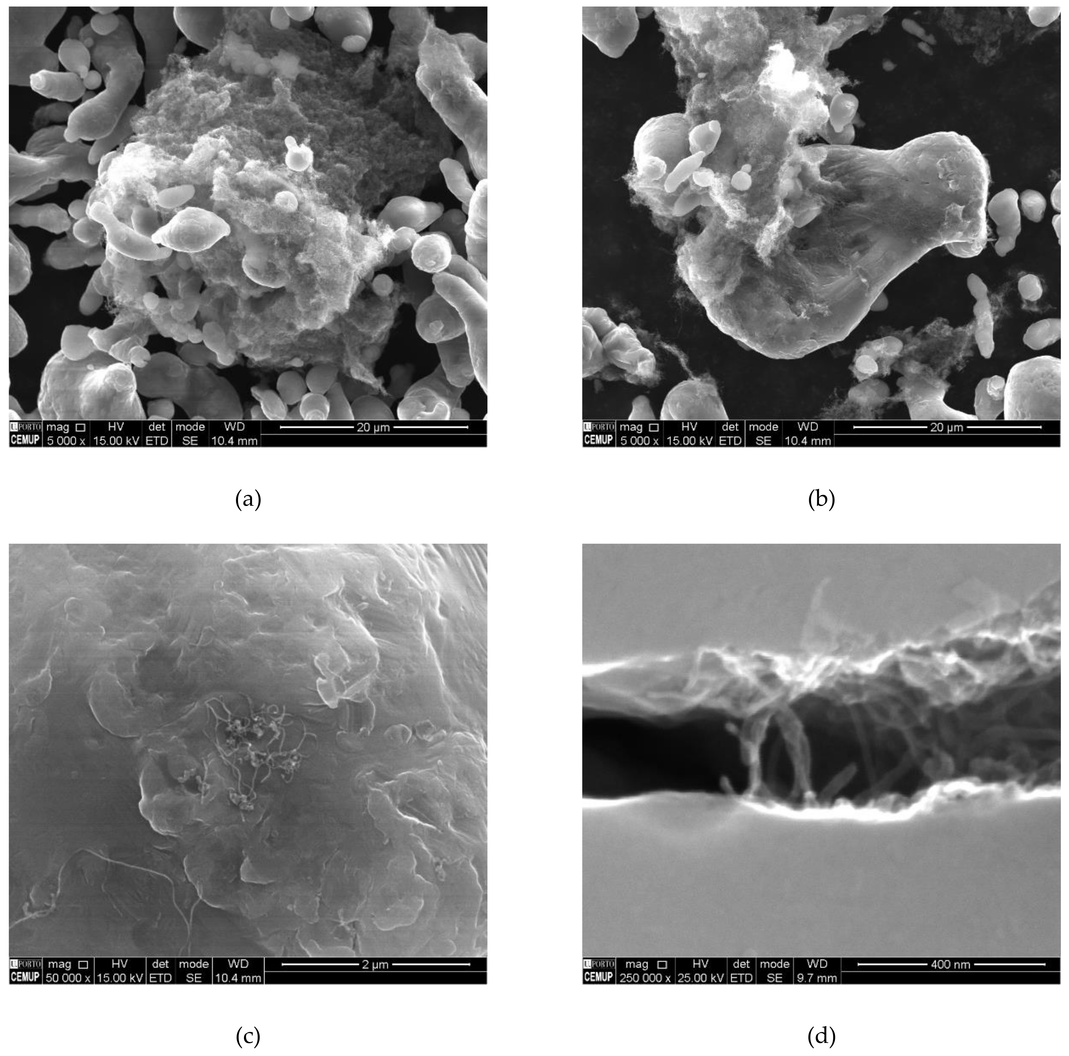 Metals 08 00786 g002 Metals 08 00786 g002