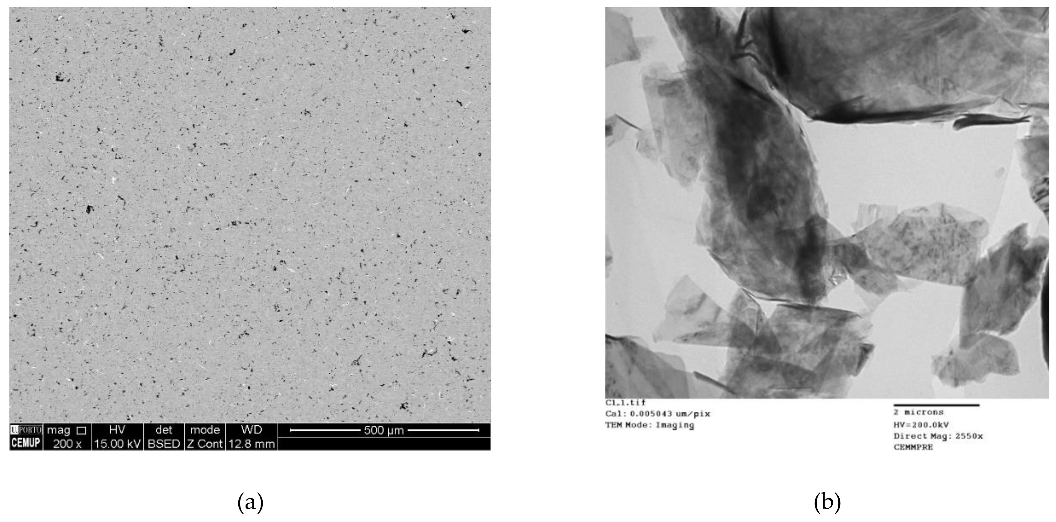 Metals 08 00786 g006 Metals 08 00786 g006