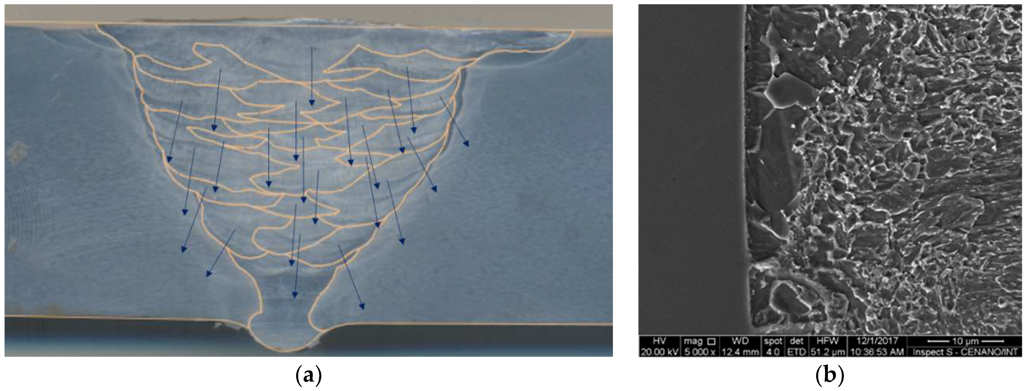 Metals 08 00787 g003 550