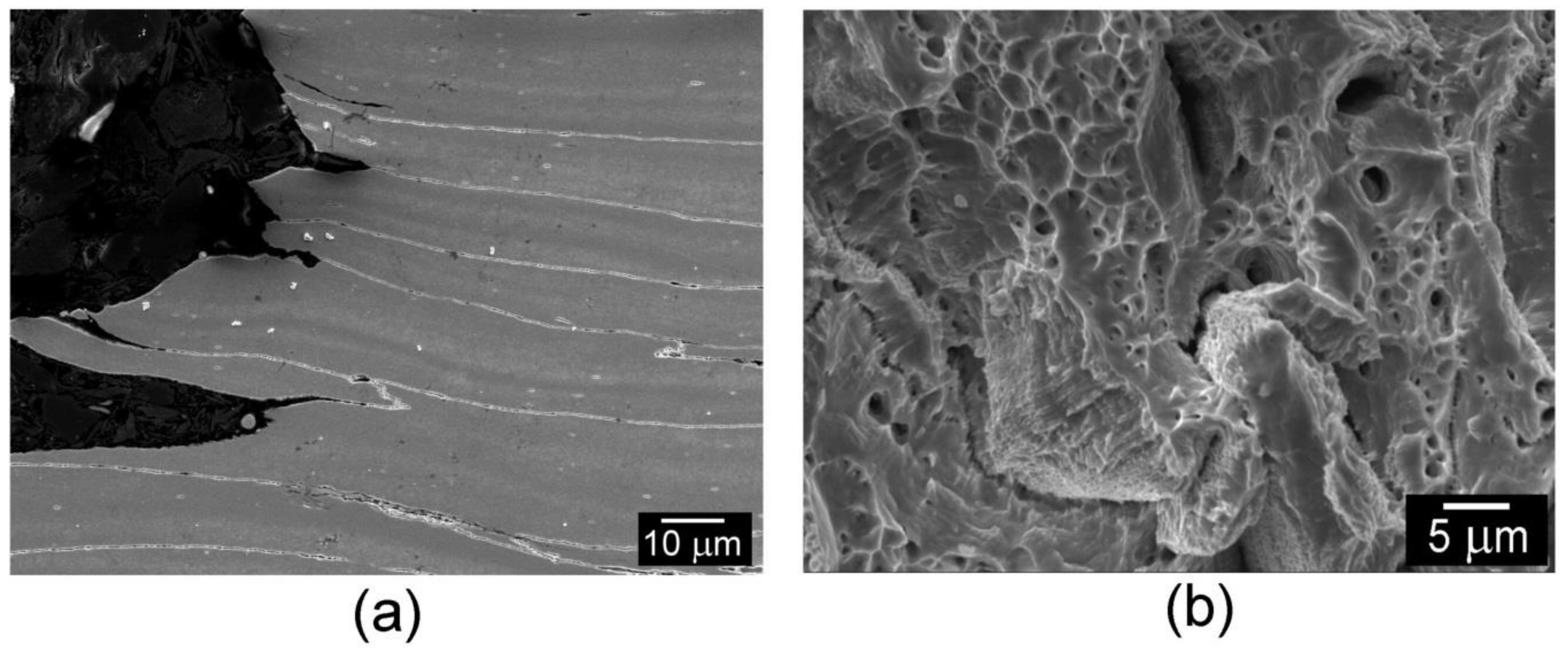 Metals 08 00791 g012