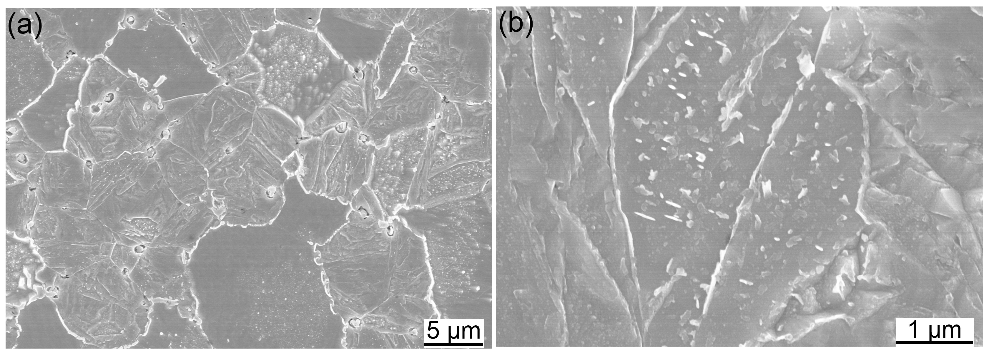 Metals 08 00802 g006a