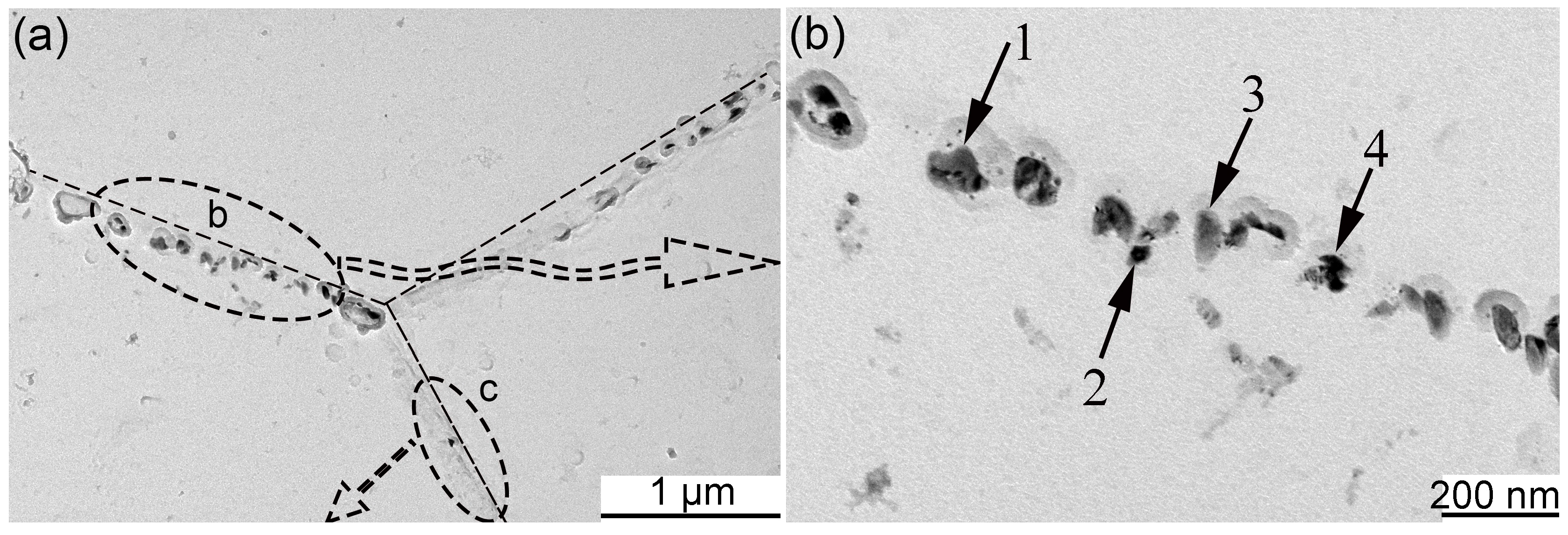 Metals 08 00802 g011a