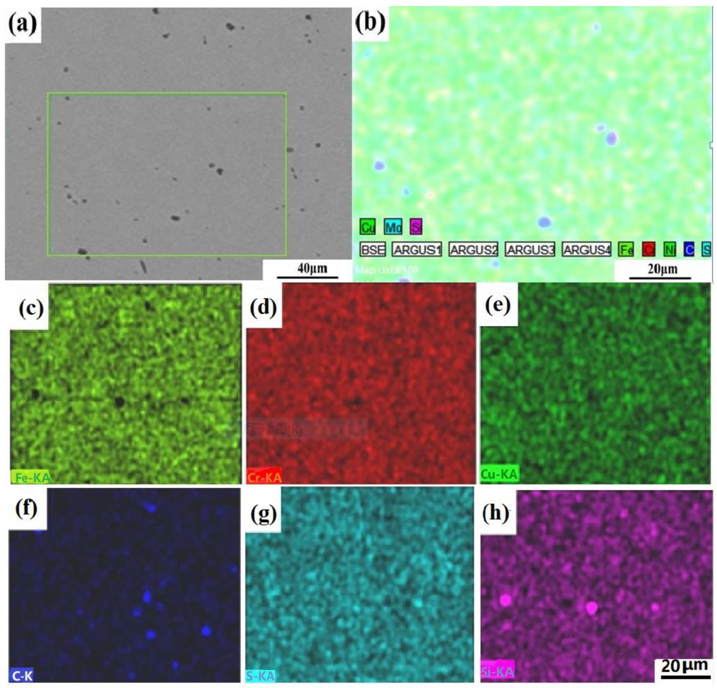 Metals 08 00816 g005 550