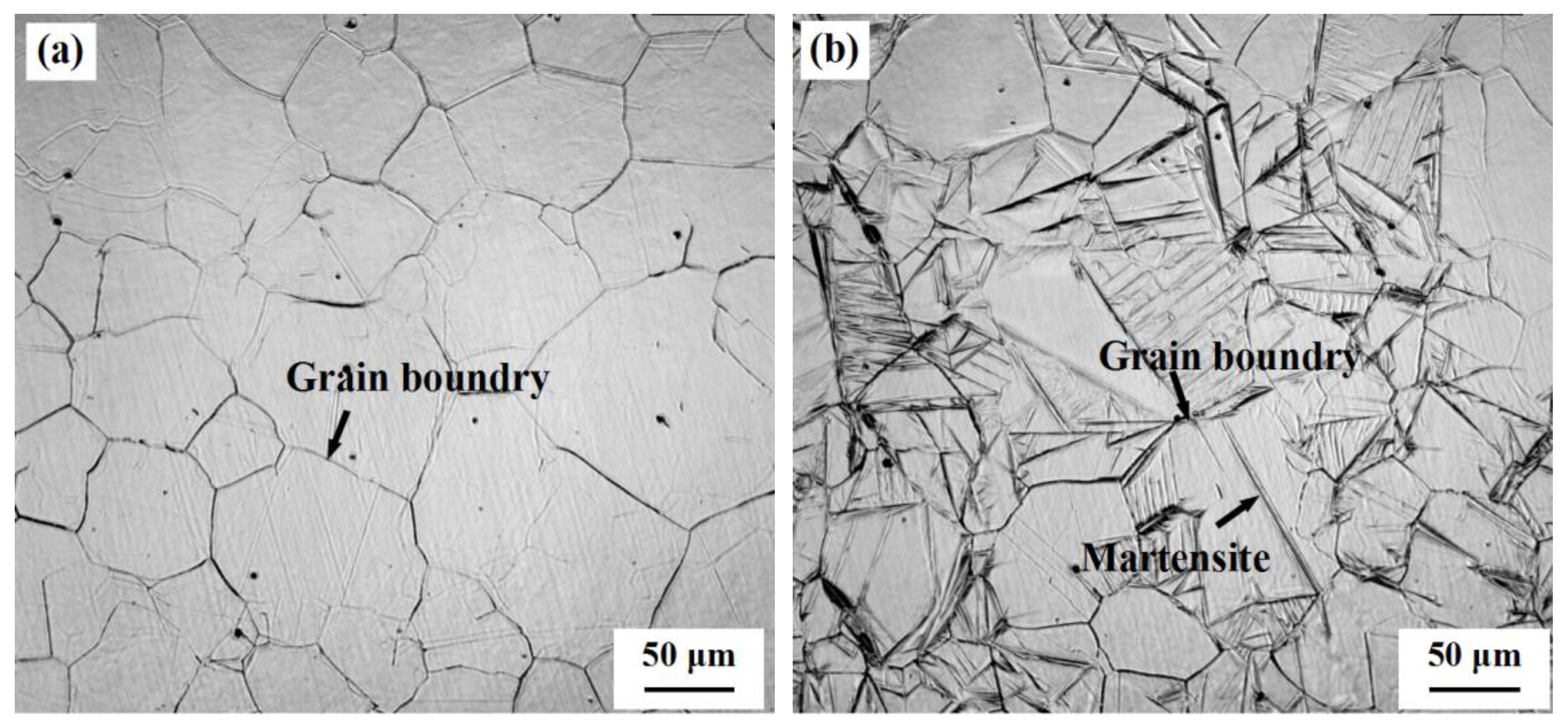 Metals 08 00818 g002