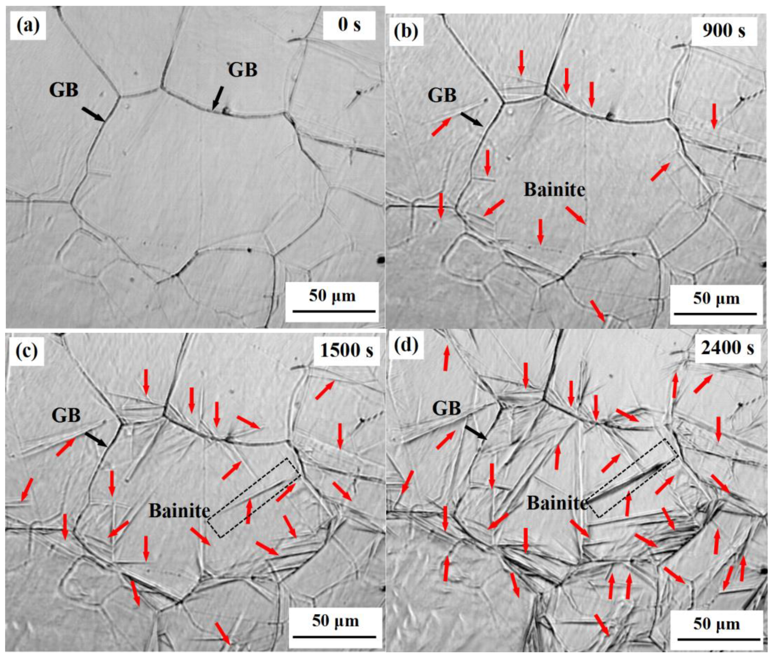 Metals 08 00818 g004