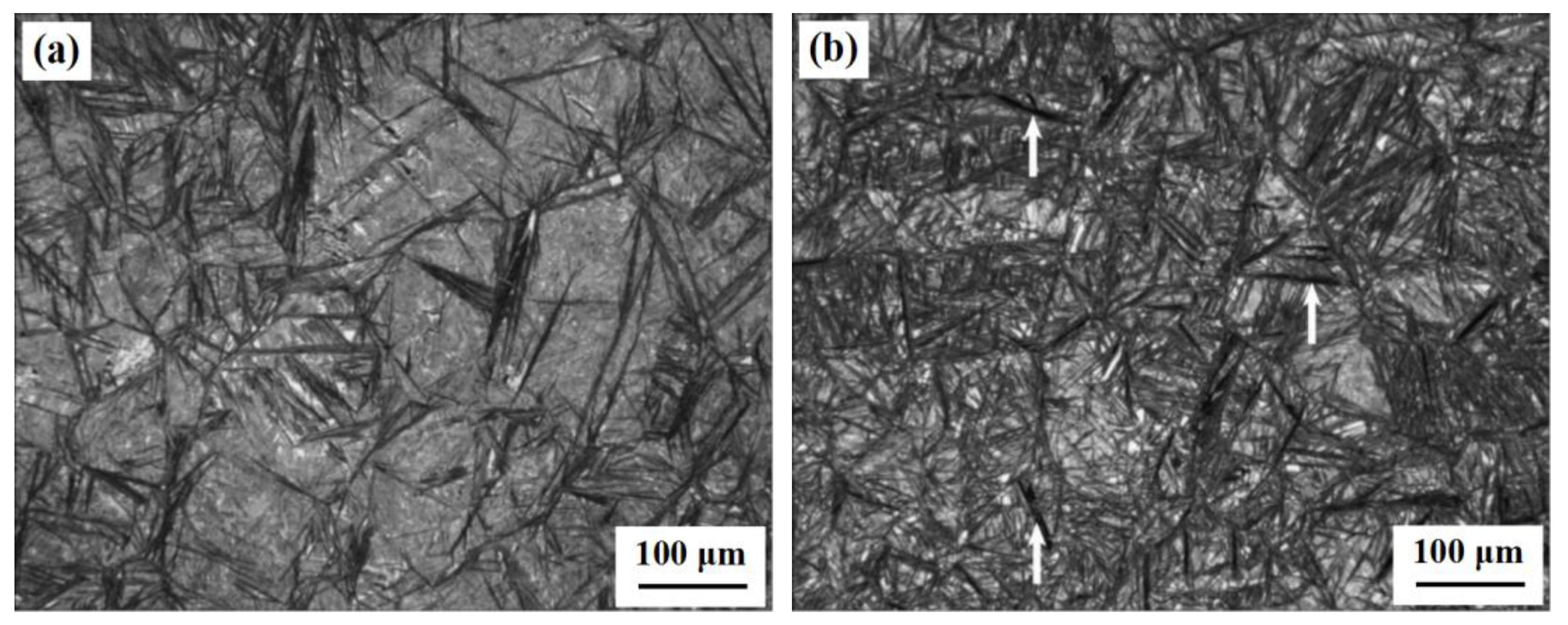 Metals 08 00818 g005