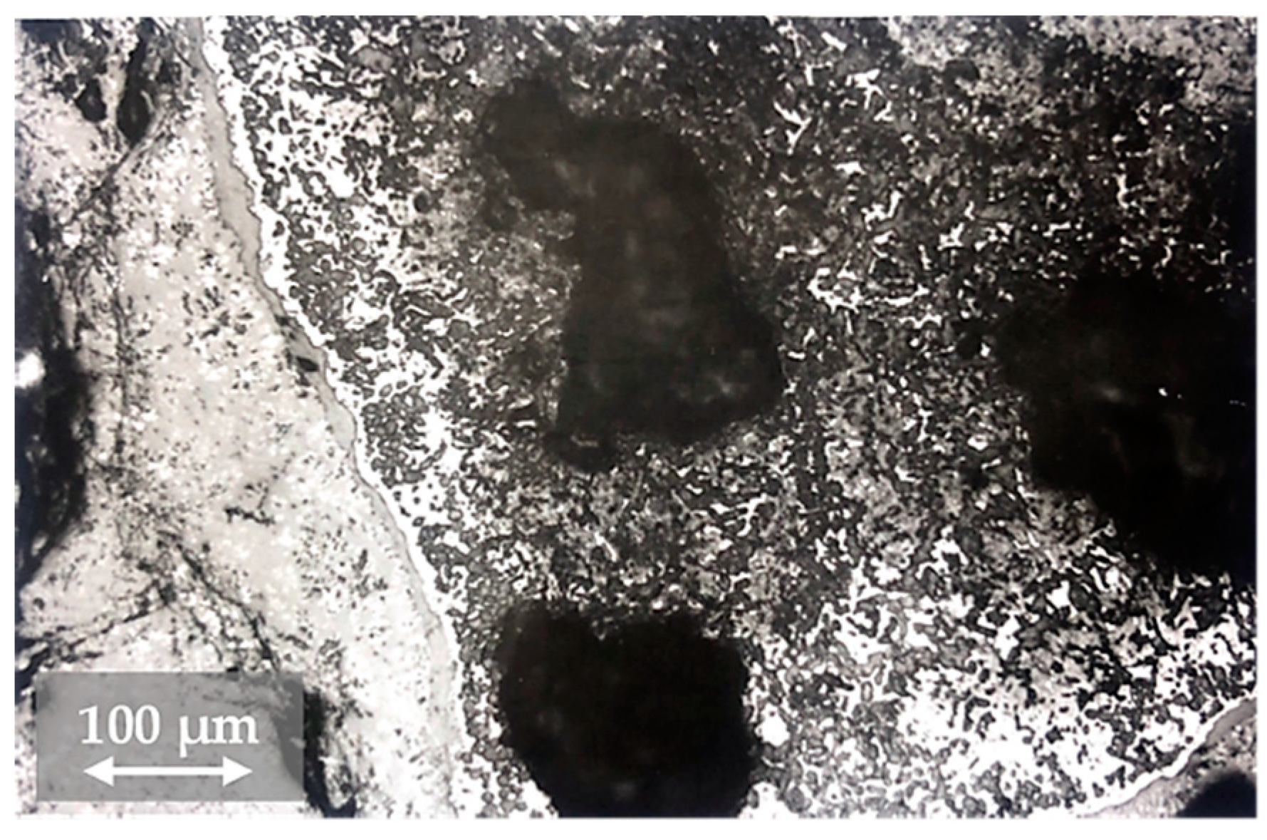 Metals 08 00844 g003