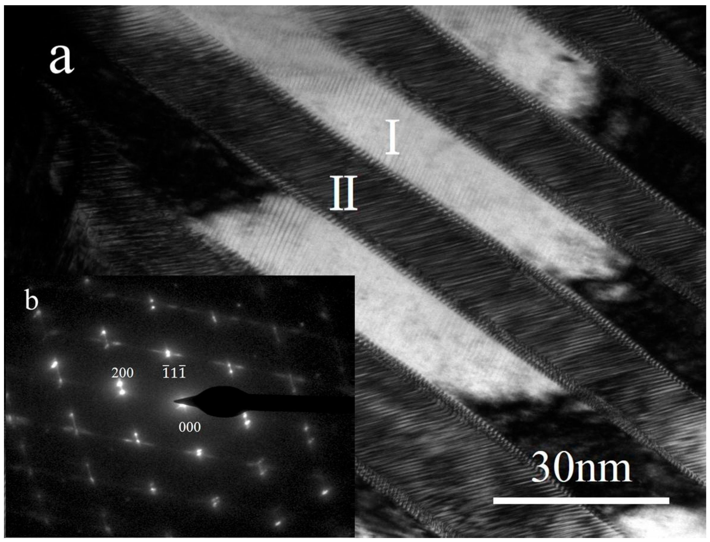 Metals 08 00848 g002