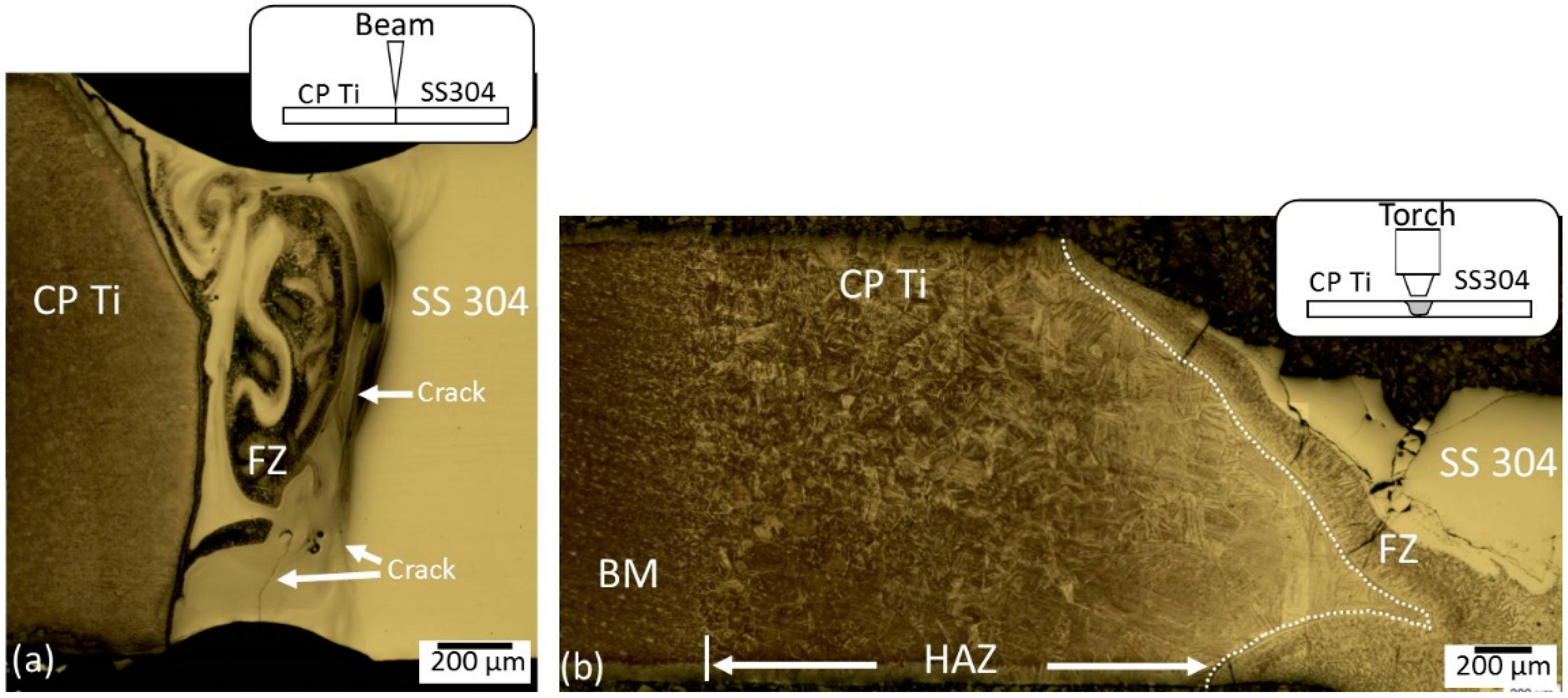 Metals 08 00863 g002