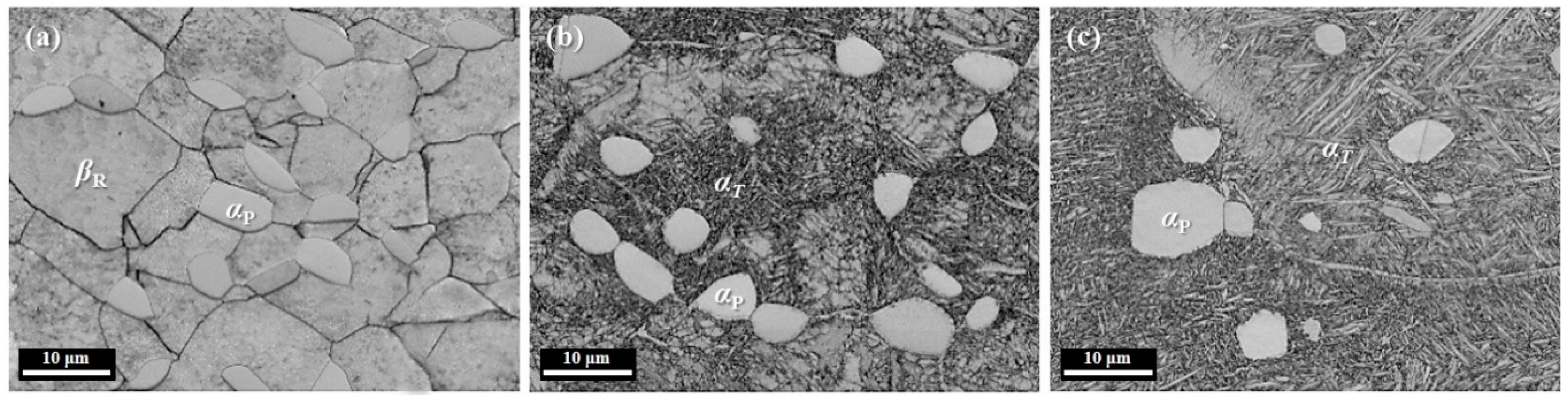 Metals 08 00875 g002