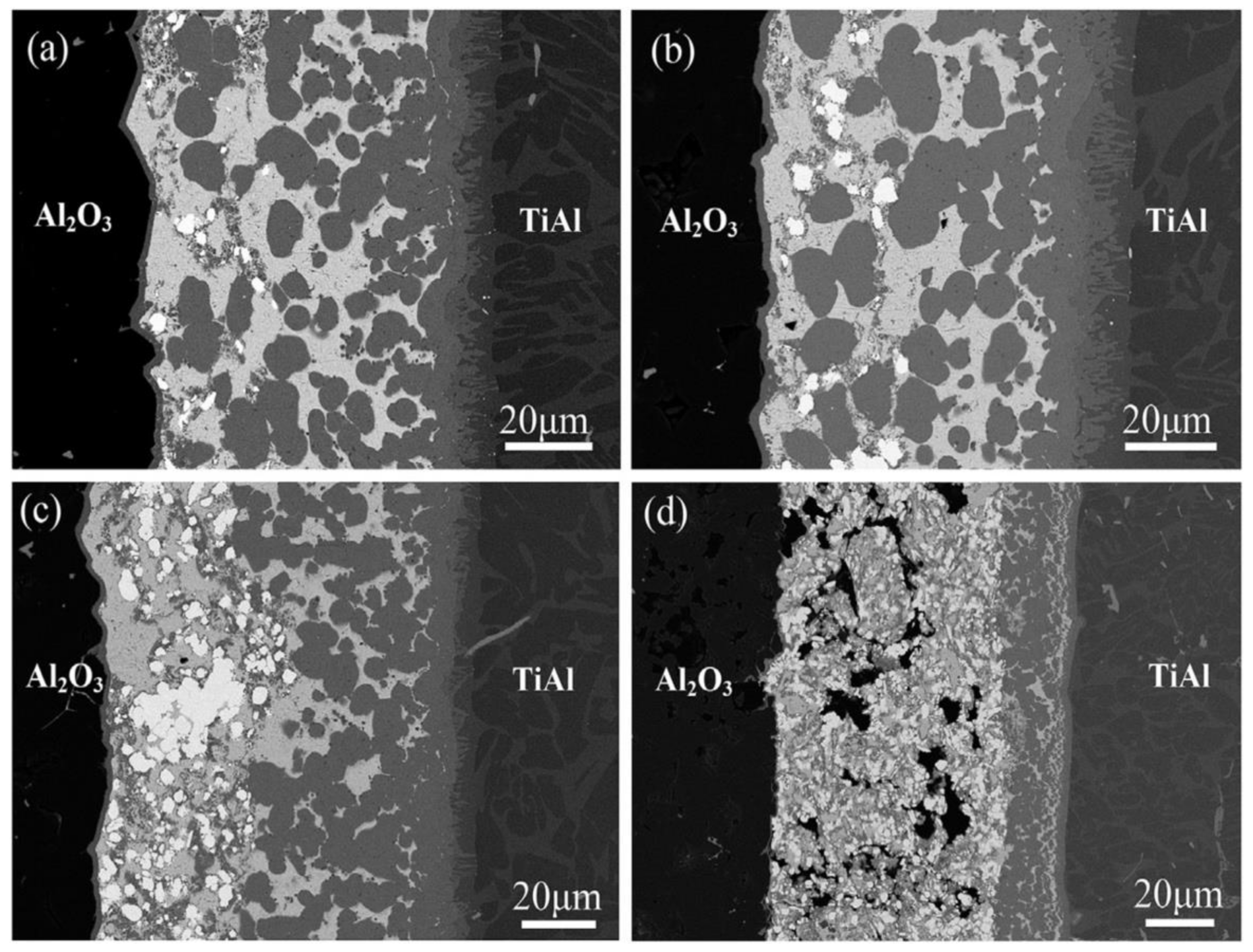 Failure Of A Dissimilar Metal Braze In An Expansion Joint Springerlink