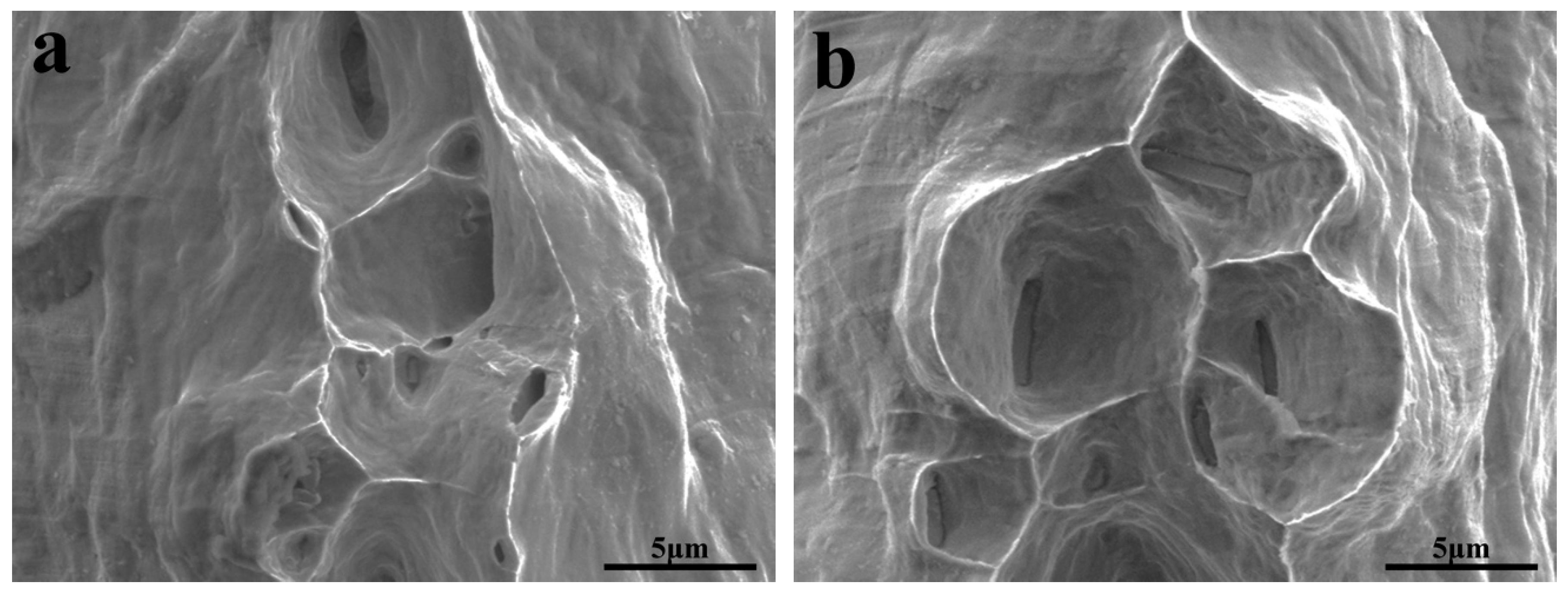 Metals 08 00890 g006 550