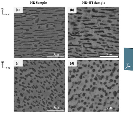 Anisotropy of the Microstructure and Tensile Properties in Anisotropy of the Microstructure and Tensile Properties in