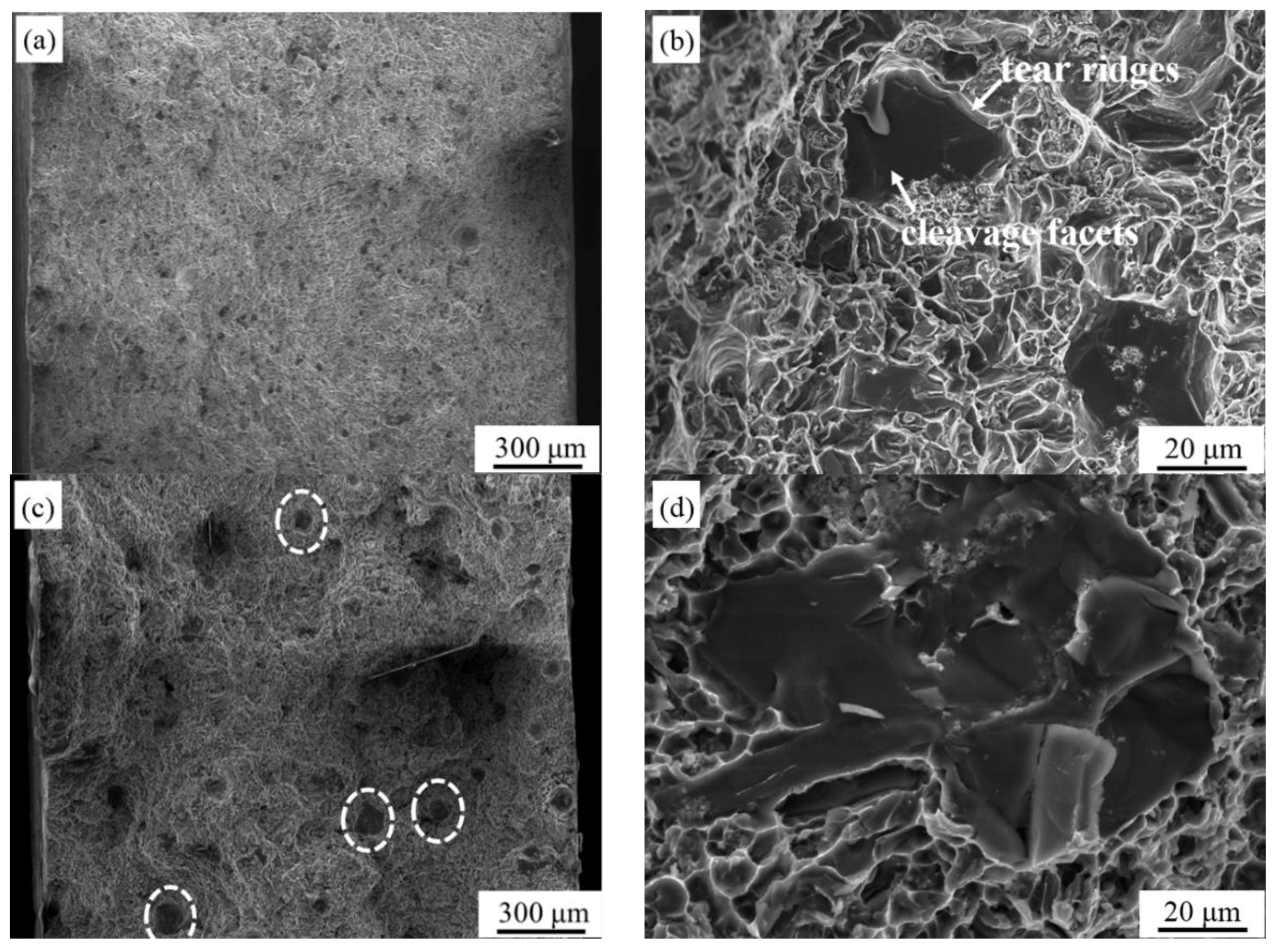 Metals 08 00917 g008 Metals 08 00917 g008