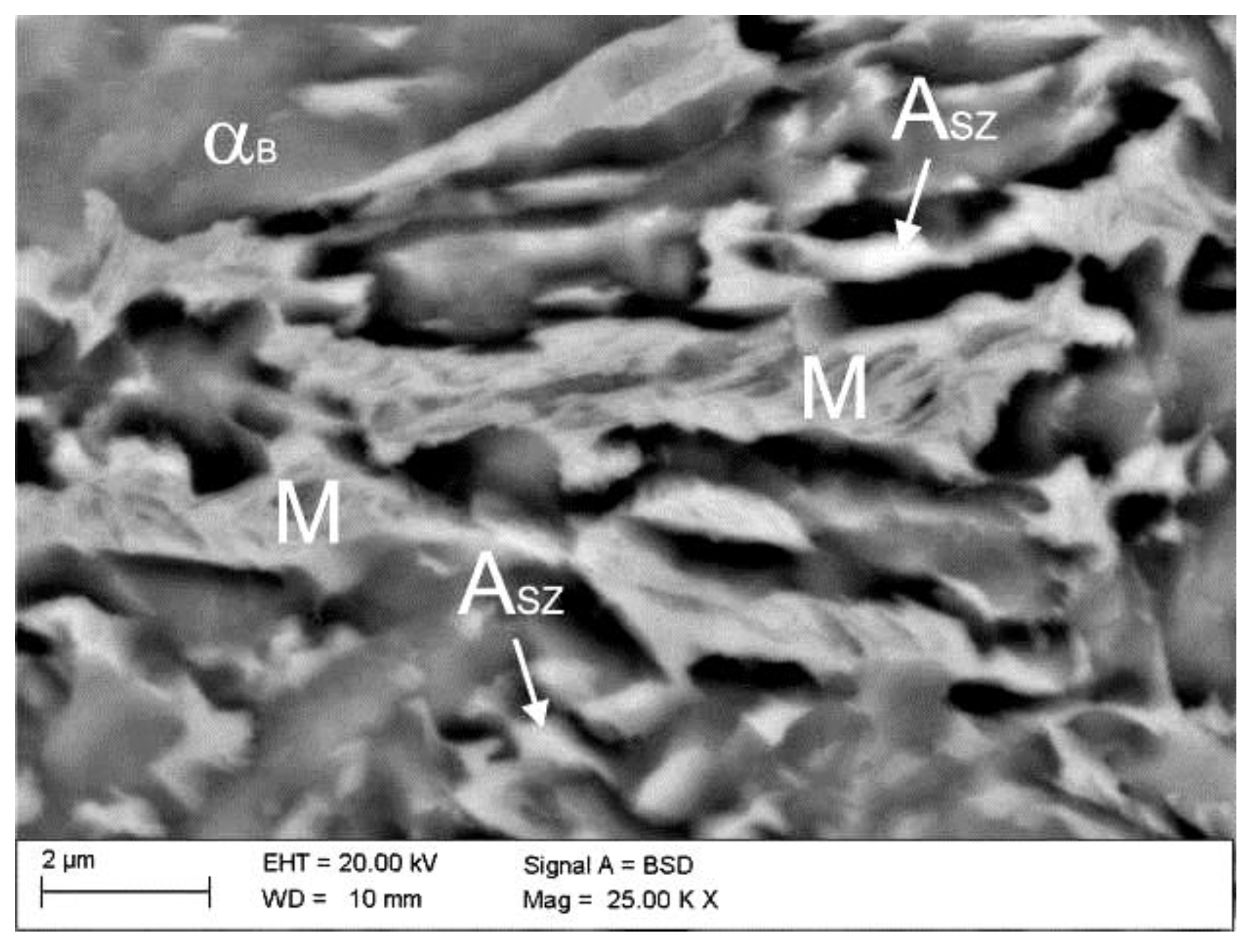 Metals 08 00929 g008