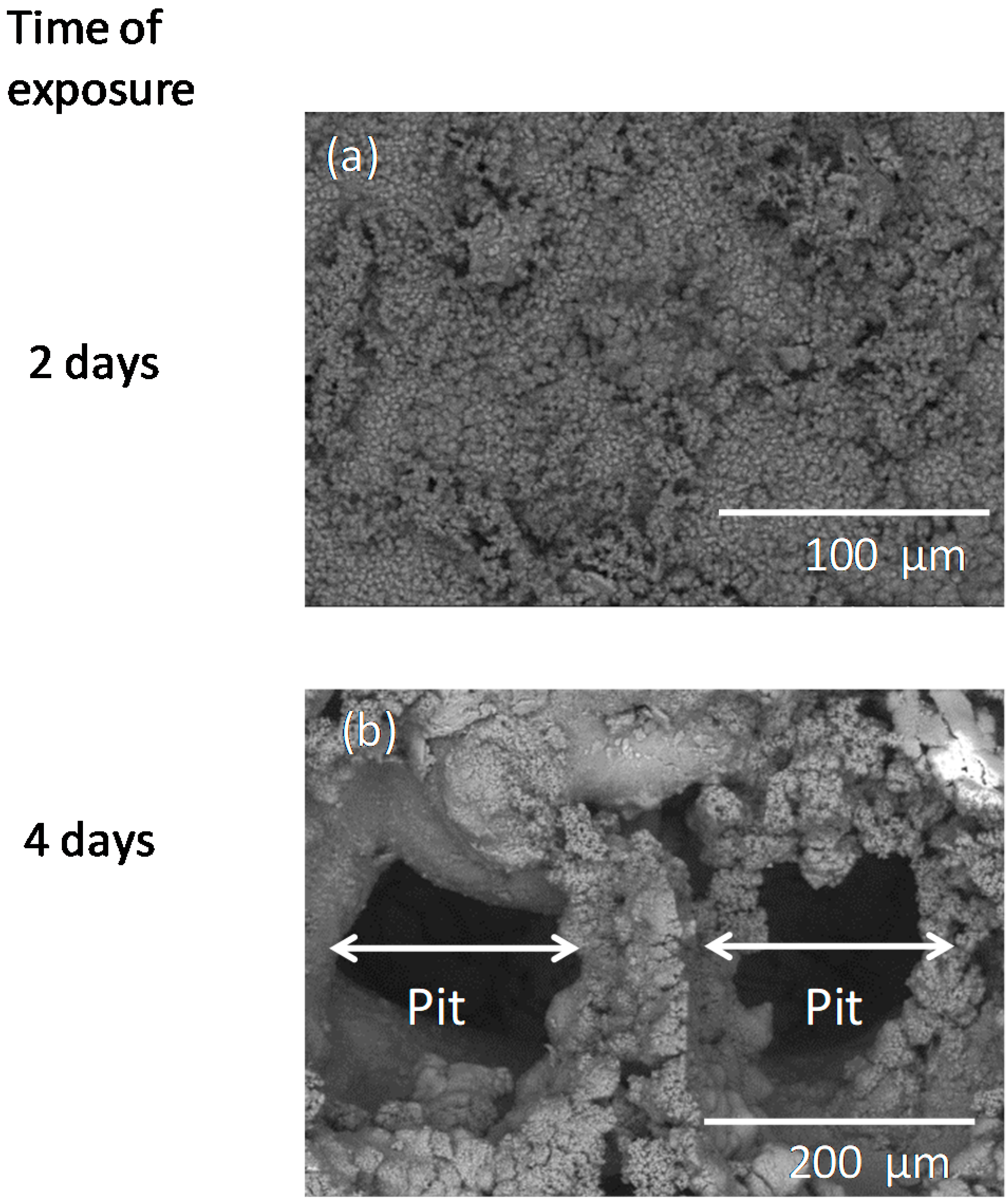 Metals 08 00933 g001