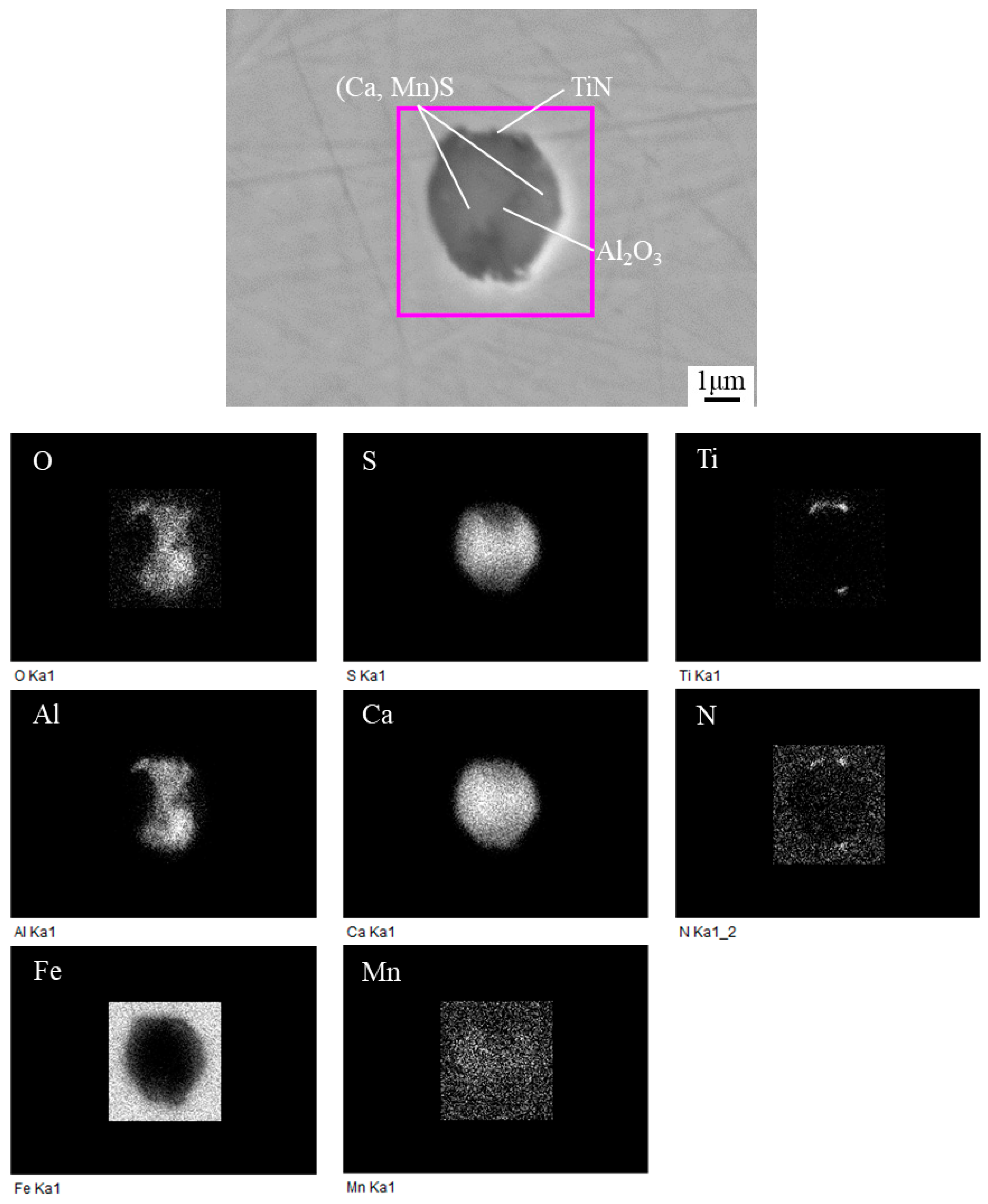 Metals 08 00946 g006 550