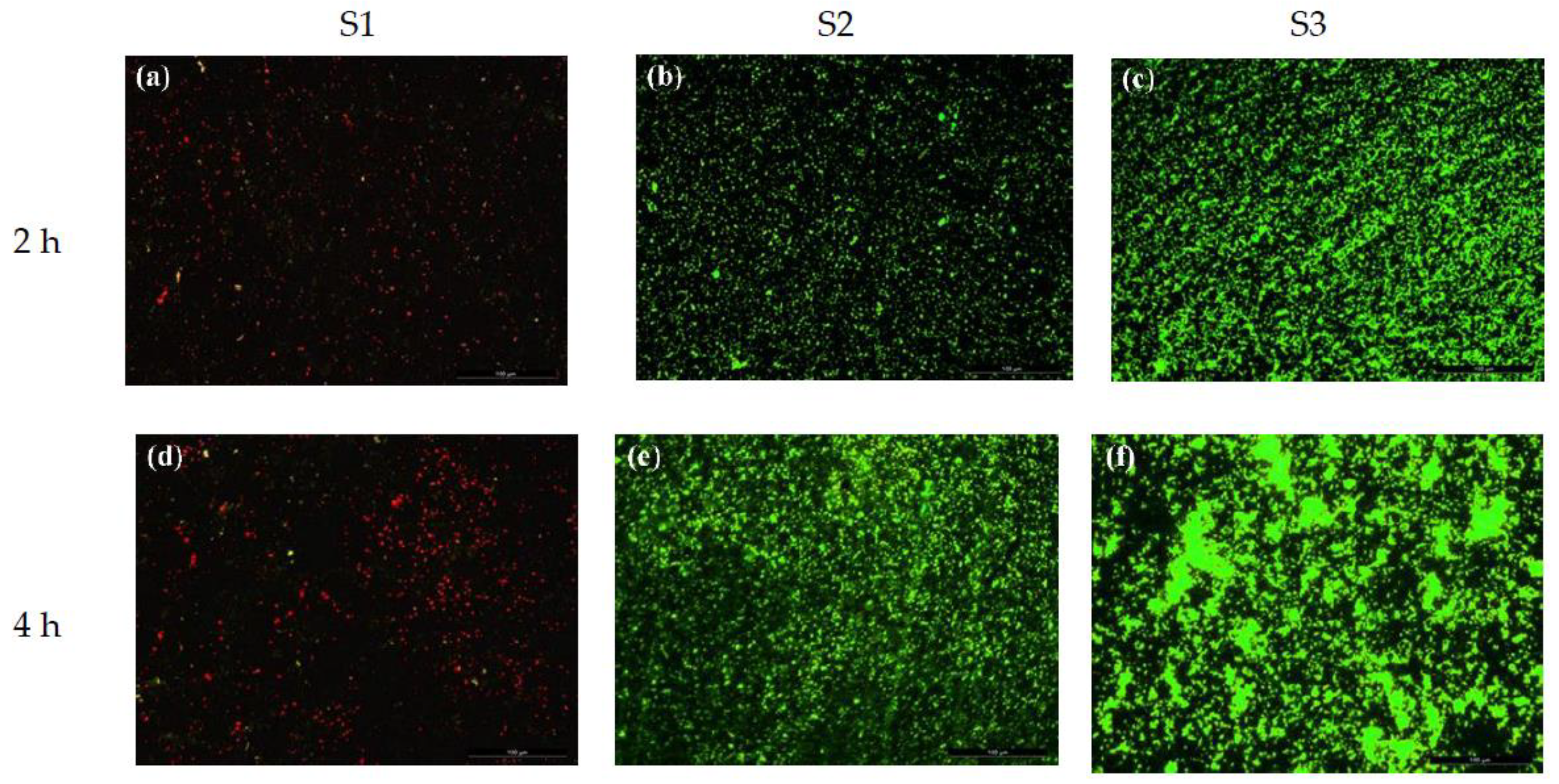 Metals 08 00948 g007 Metals 08 00948 g007