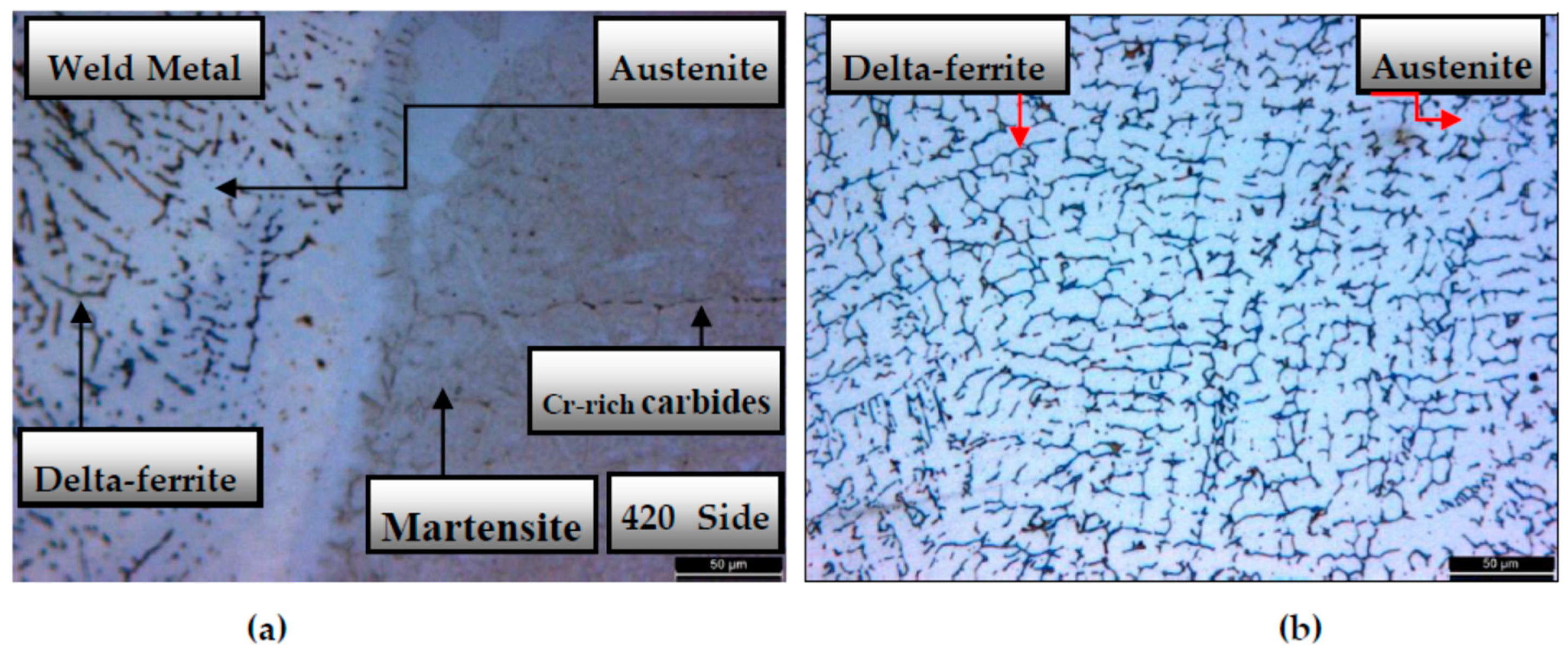 Metals 08 00972 g009a 550