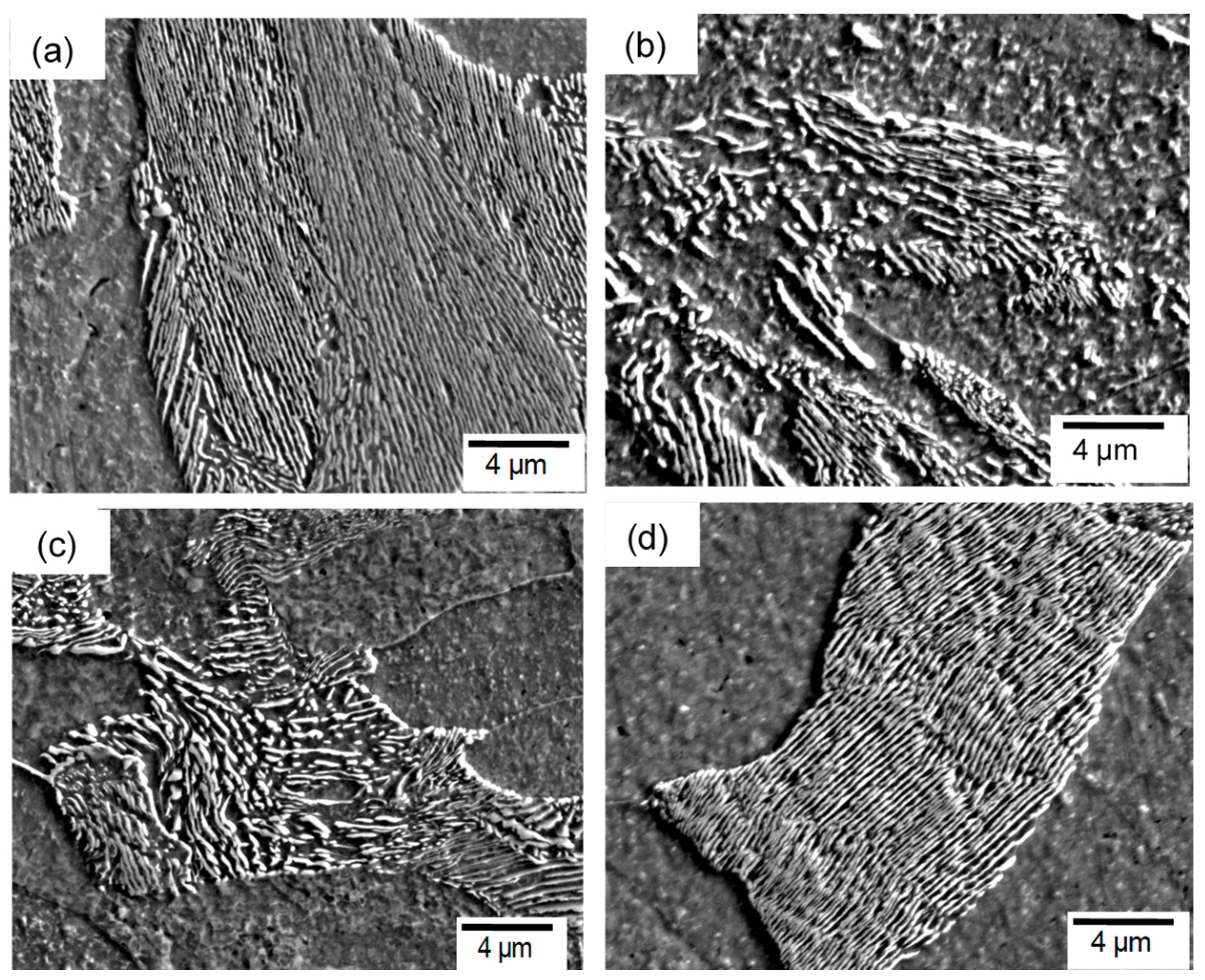 Metals 08 00976 g006 550