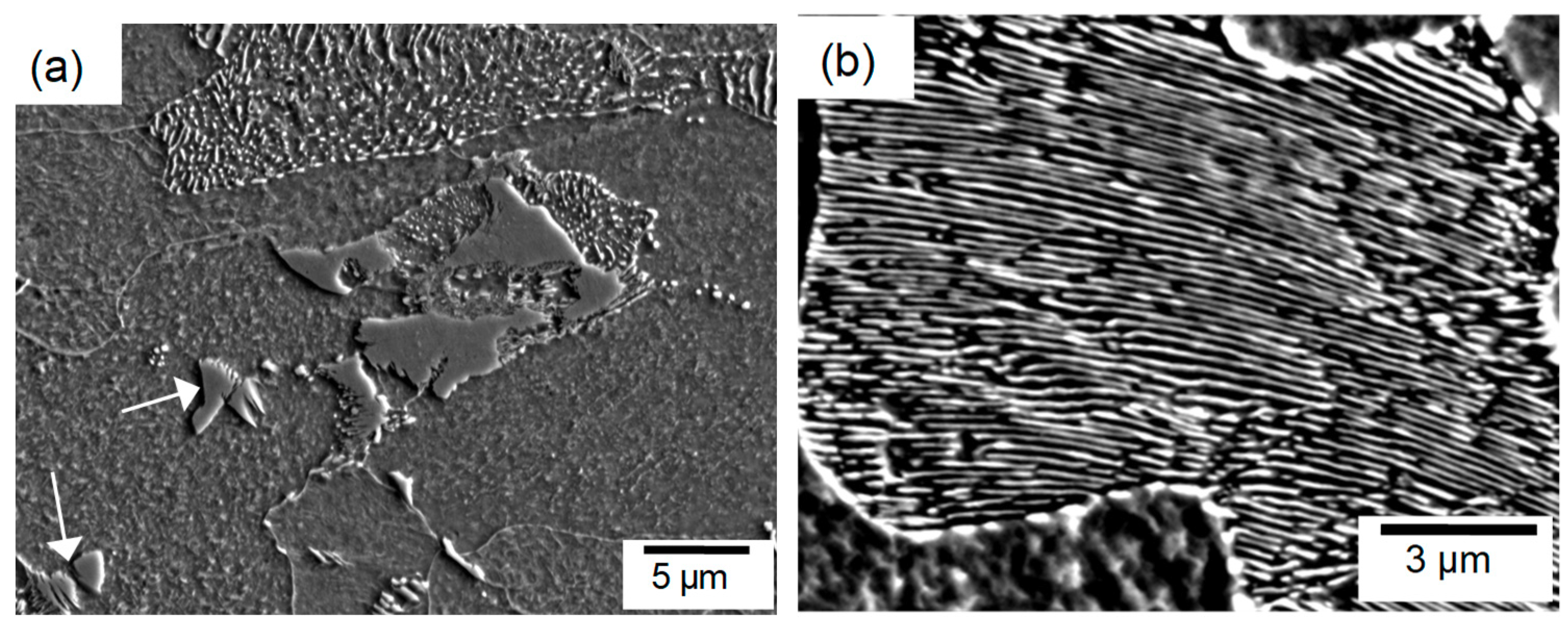 Metals 08 00976 g007 550