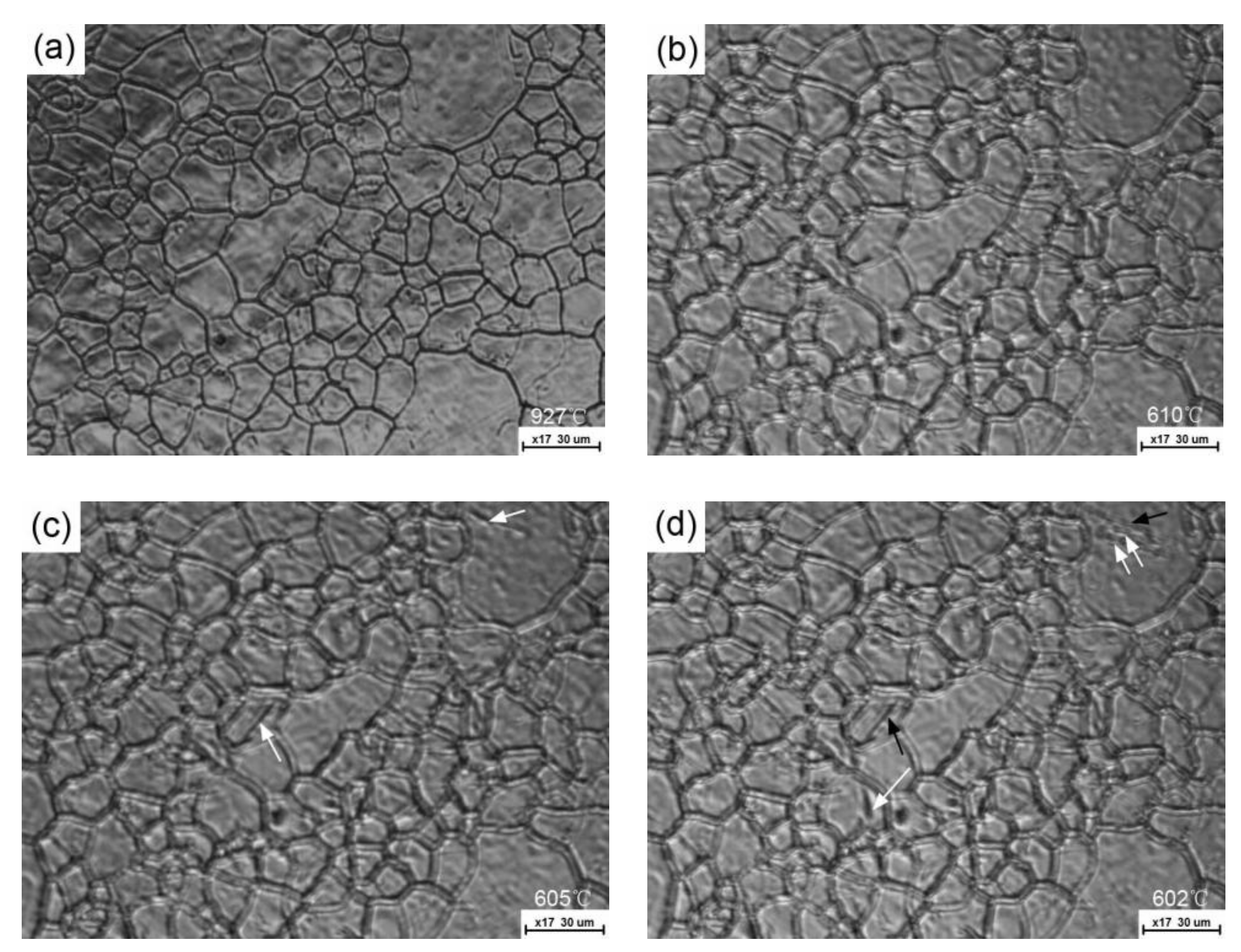 Metals 08 00988 g005 Metals 08 00988 g005