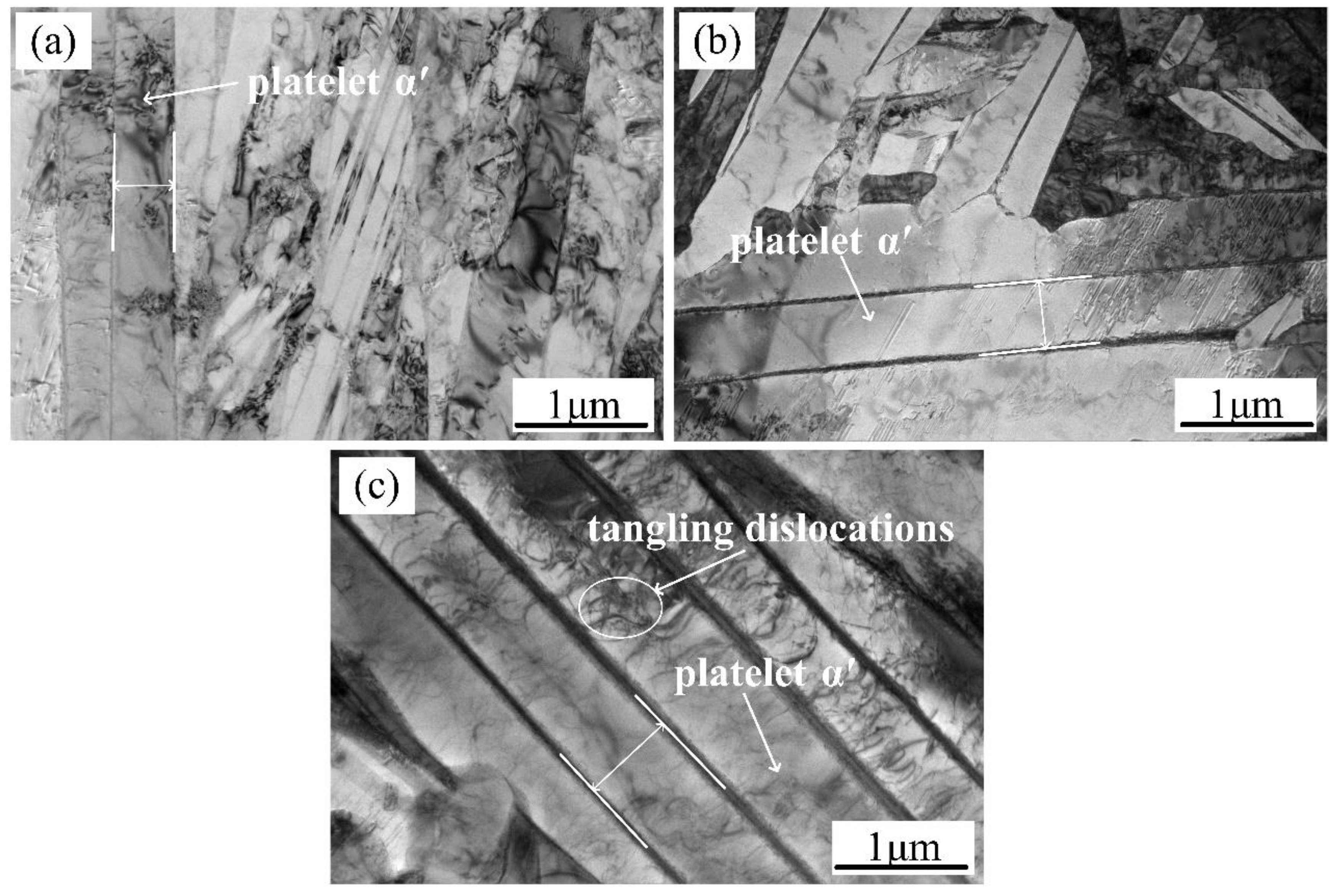 Metals 08 01002 g007 550