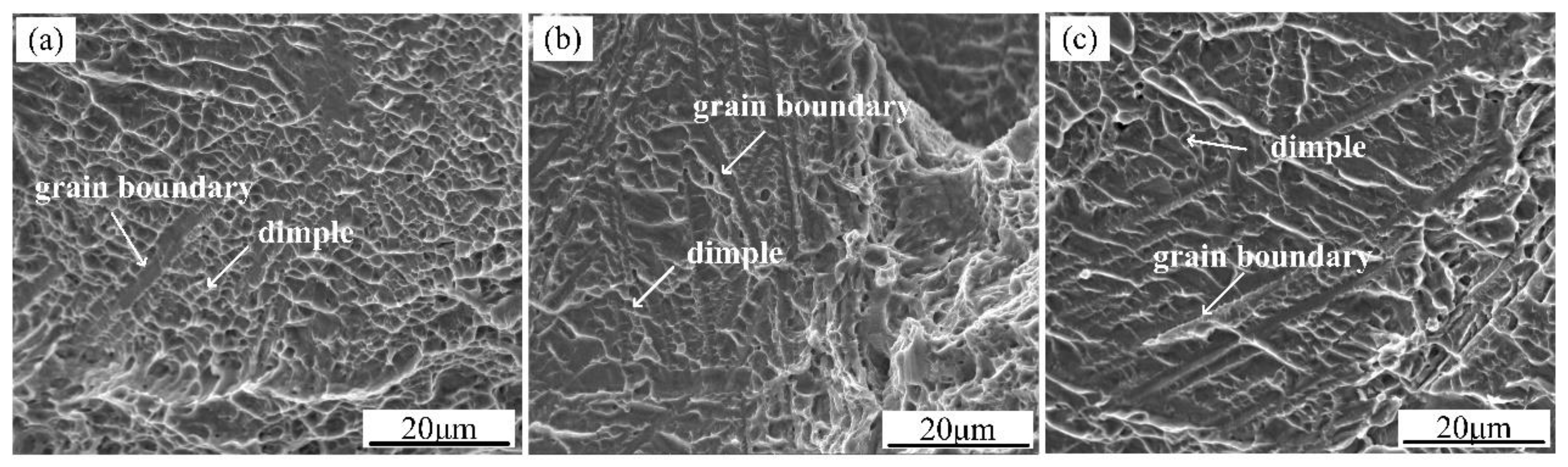 Metals 08 01002 g010 550