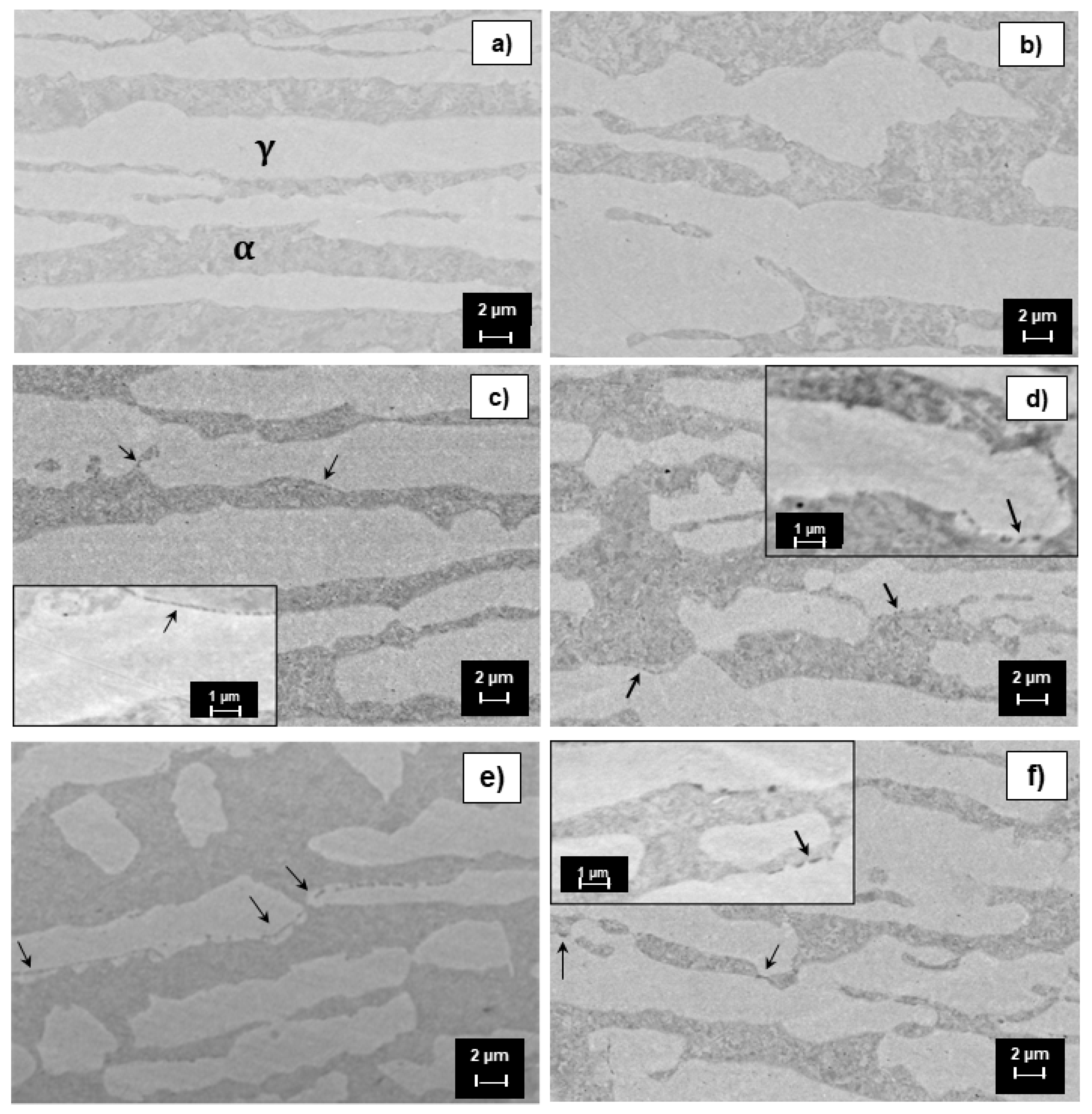 Metals 08 01022 g001