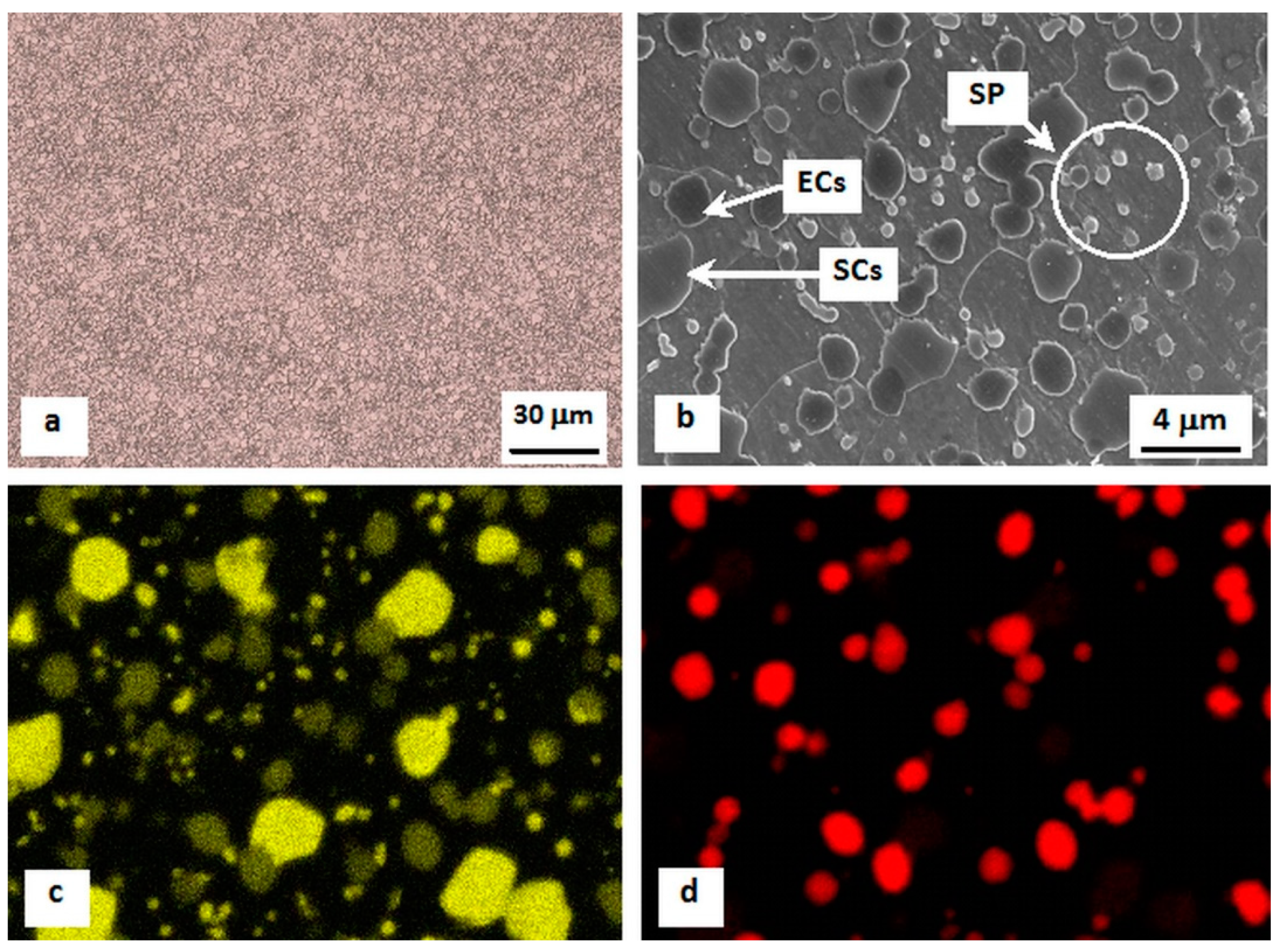 Metals 08 01047 g002 Metals 08 01047 g002