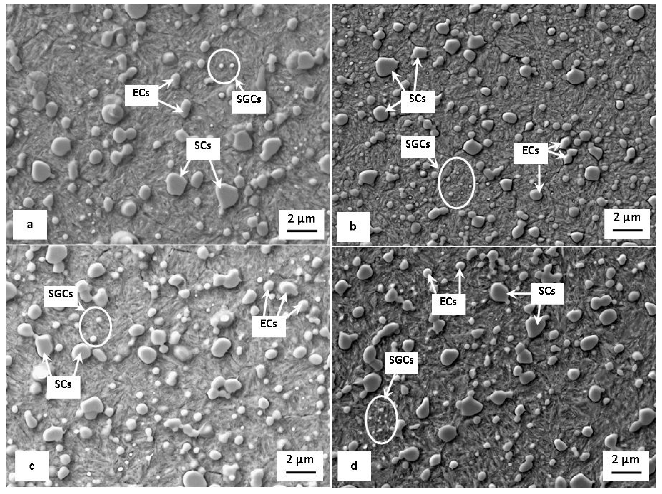 Metals 08 01047 g004 Metals 08 01047 g004