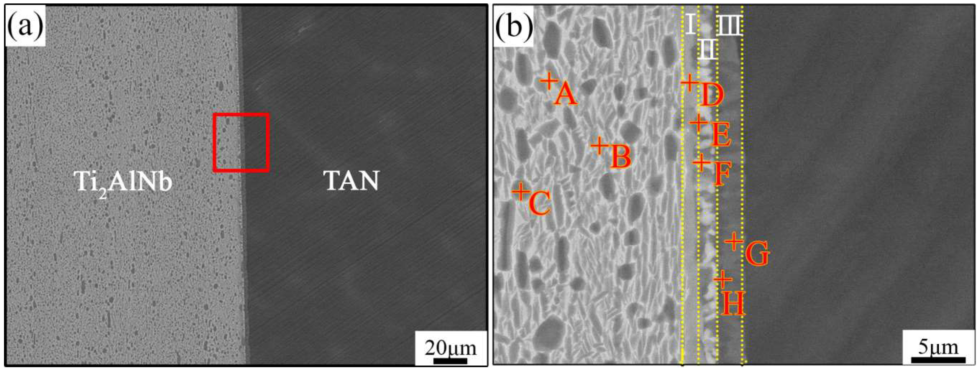 Metals 08 01061 g003