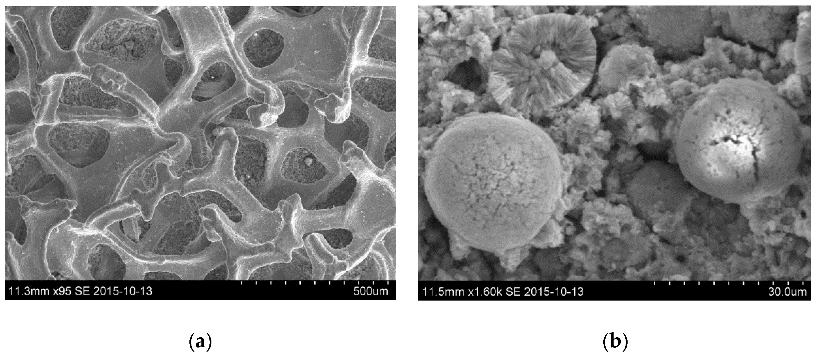 Metals 08 01062 g001 Metals 08 01062 g001