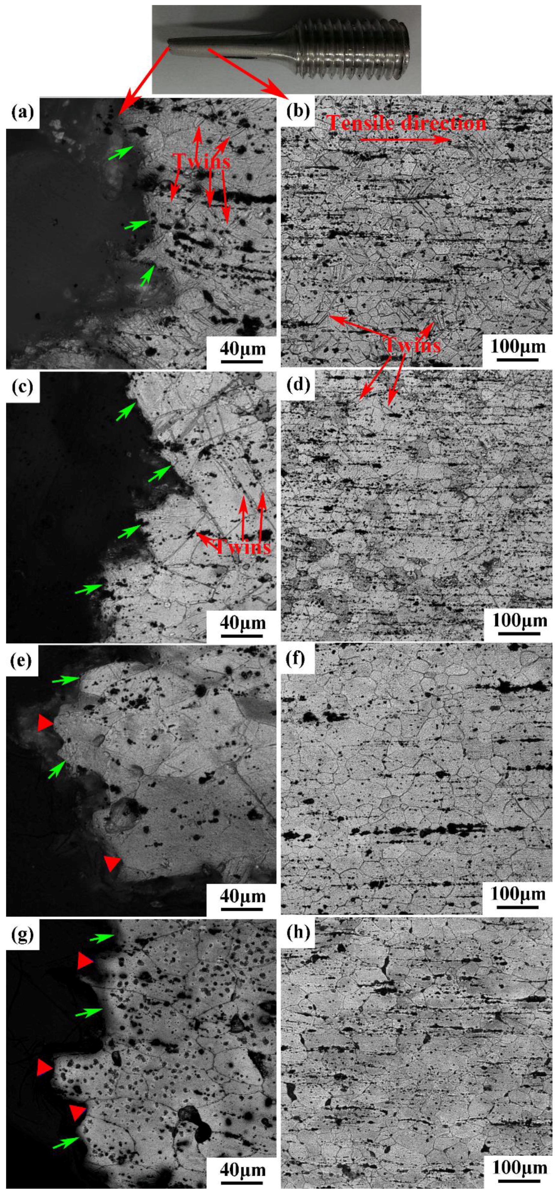 Metals 09 00001 g007