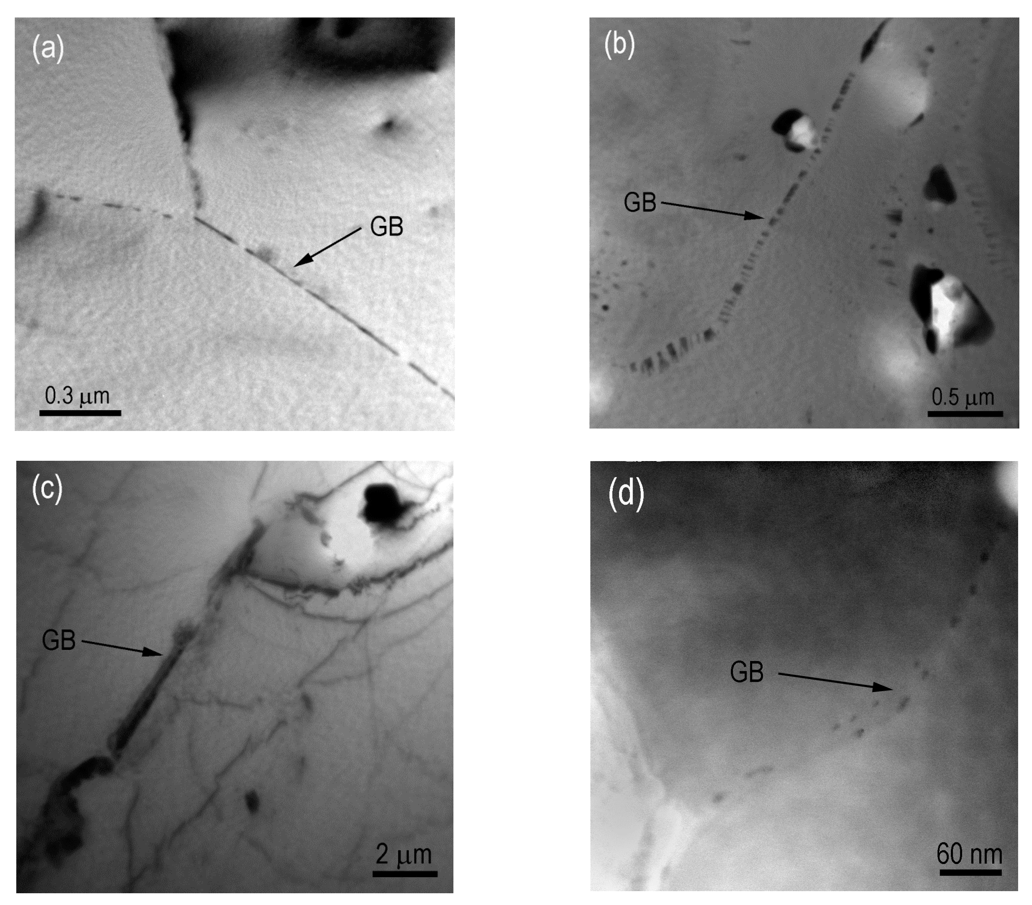 Metals 09 00010 g004 Metals 09 00010 g004