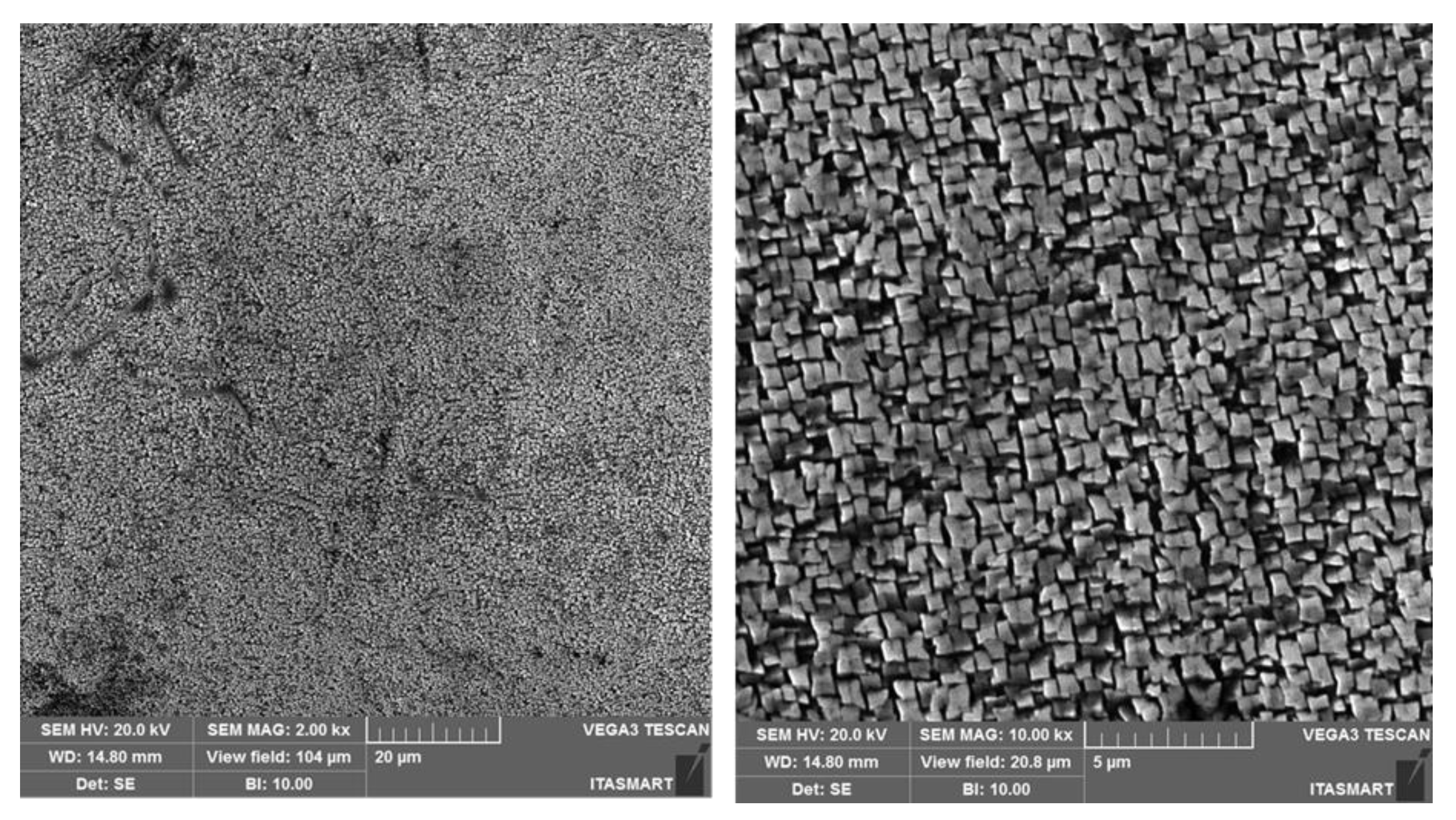 Metals 09 00047 g005 550