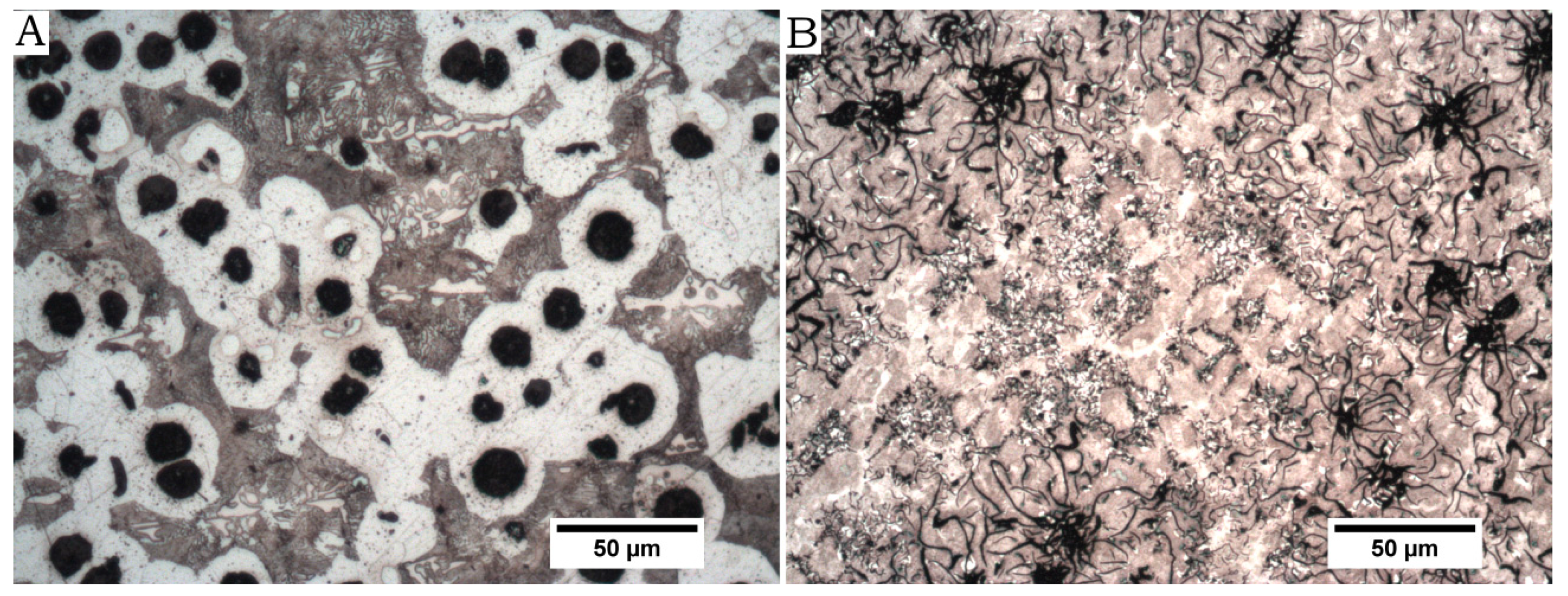 Metals 09 00048 g001