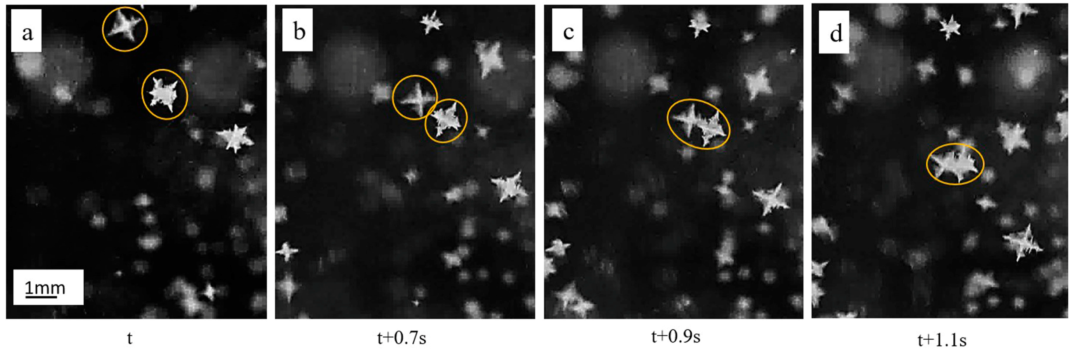 Metals 09 00055 g005 550