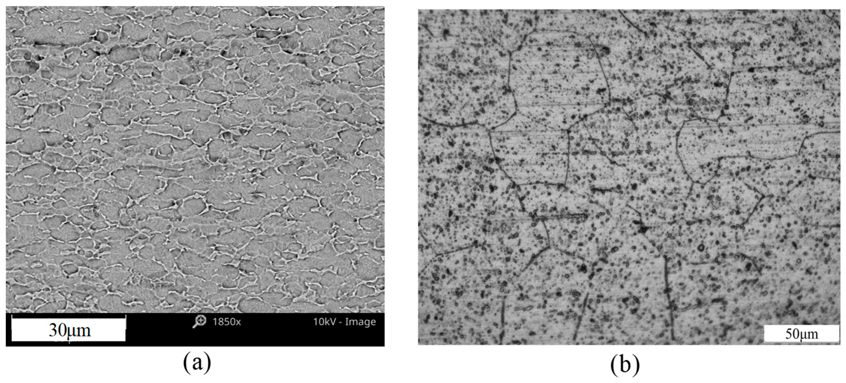 Metals 09 00071 g001