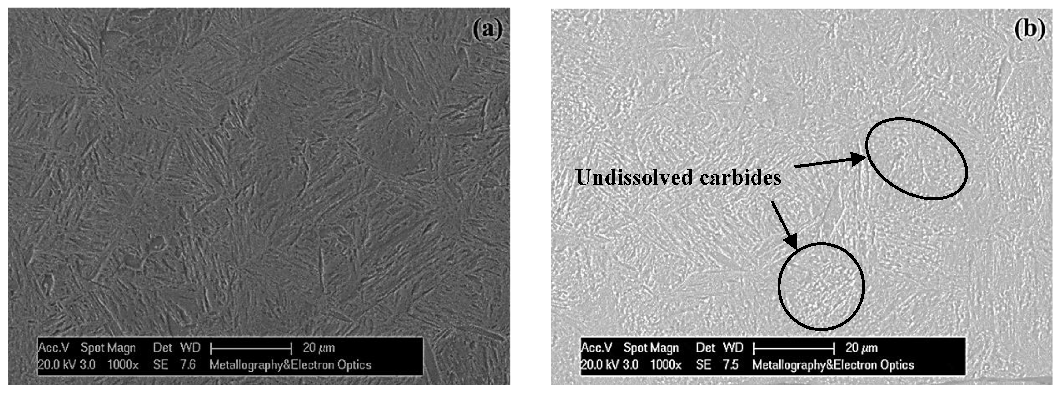 Metals 09 00072 g003a