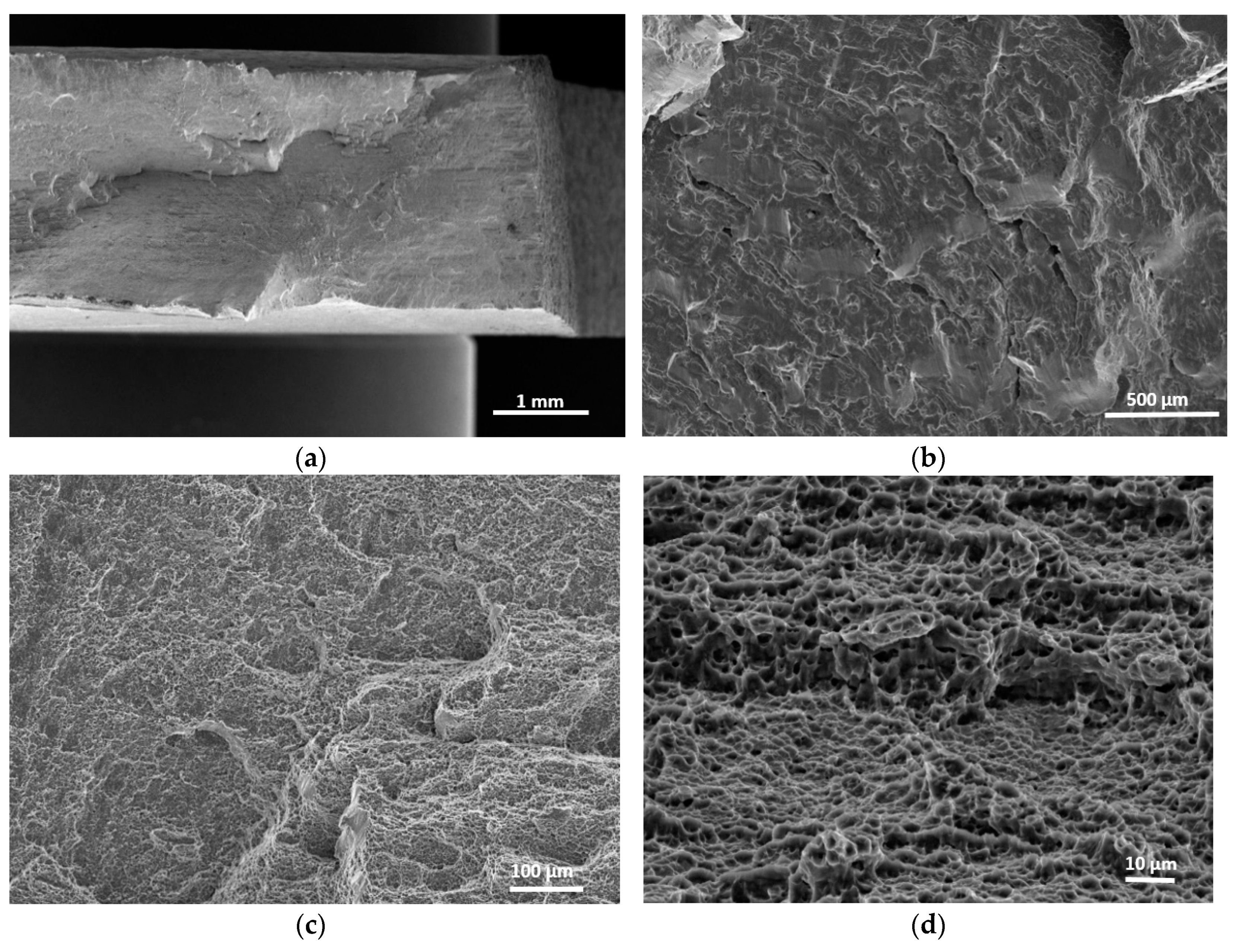 Metals 09 00080 g005