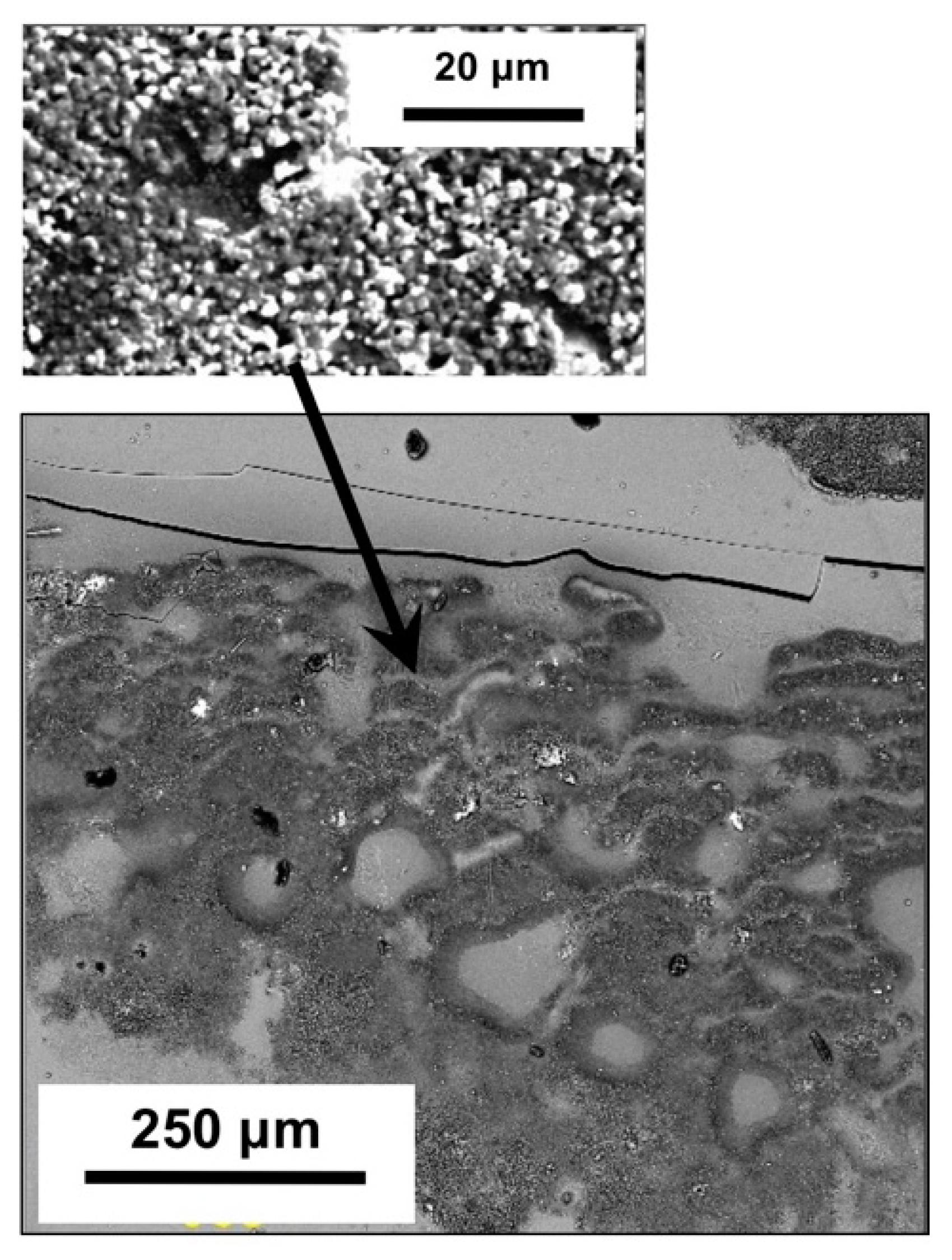 Metals 09 00093 g006